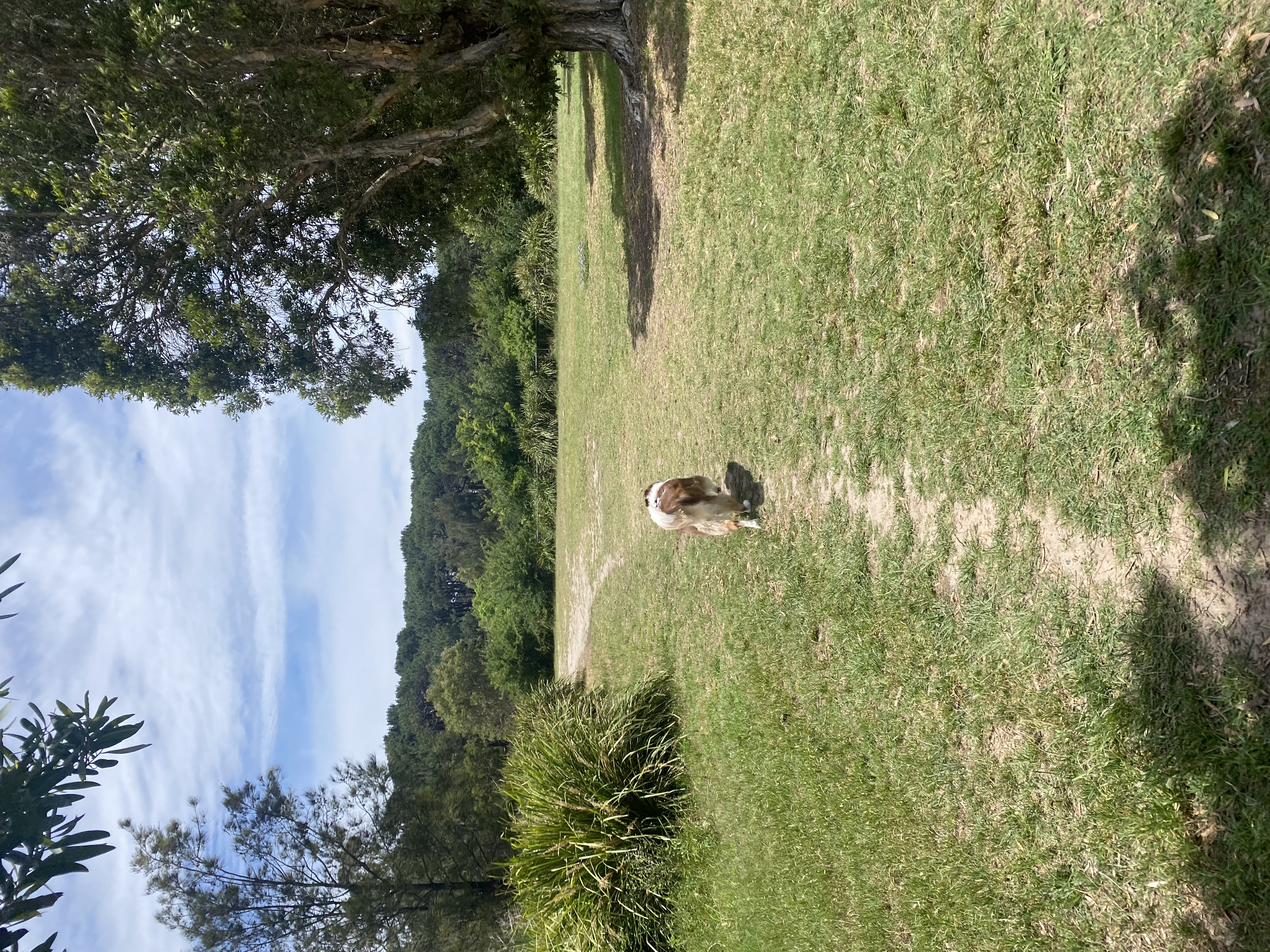 image-9