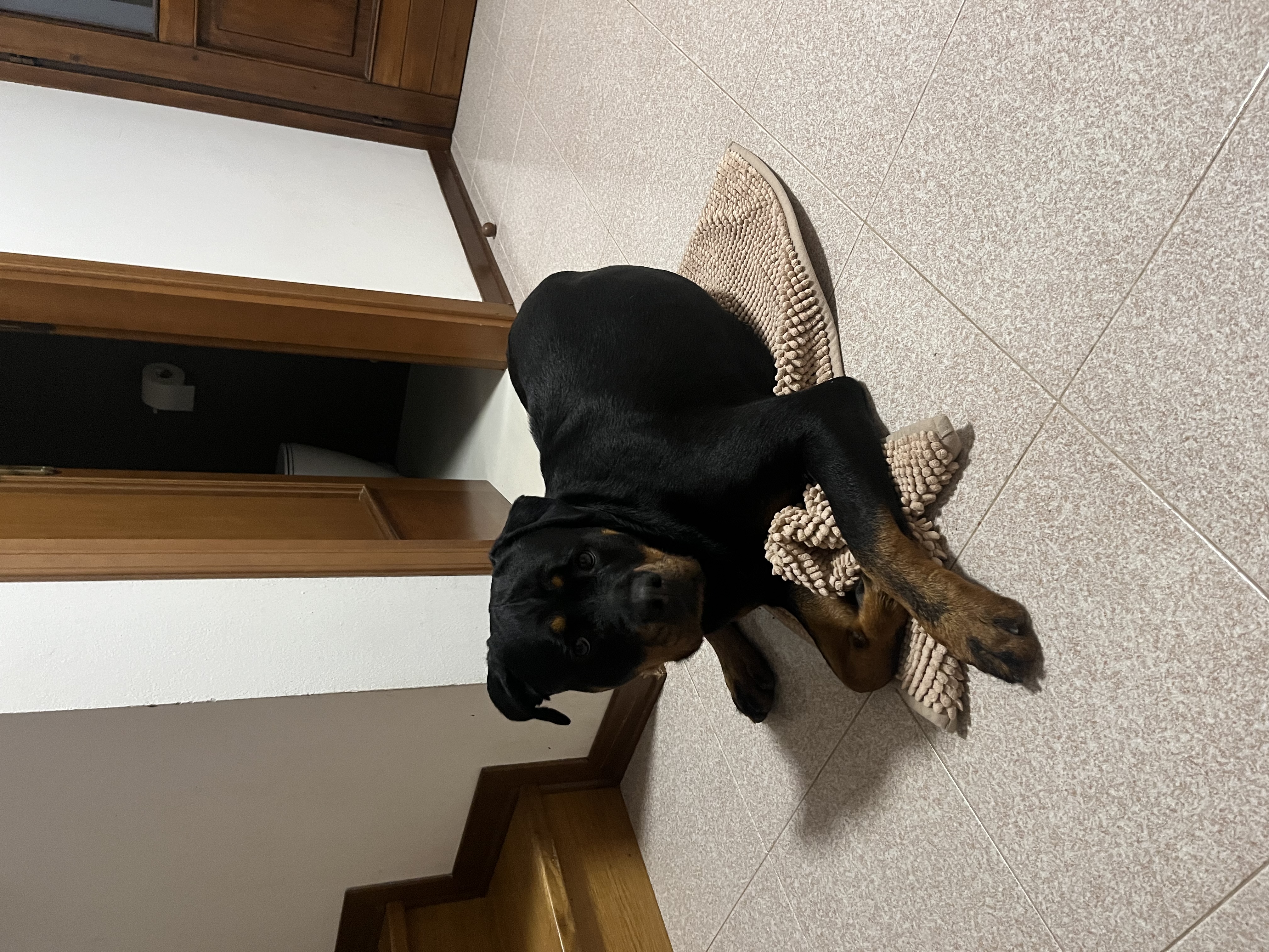 image-6