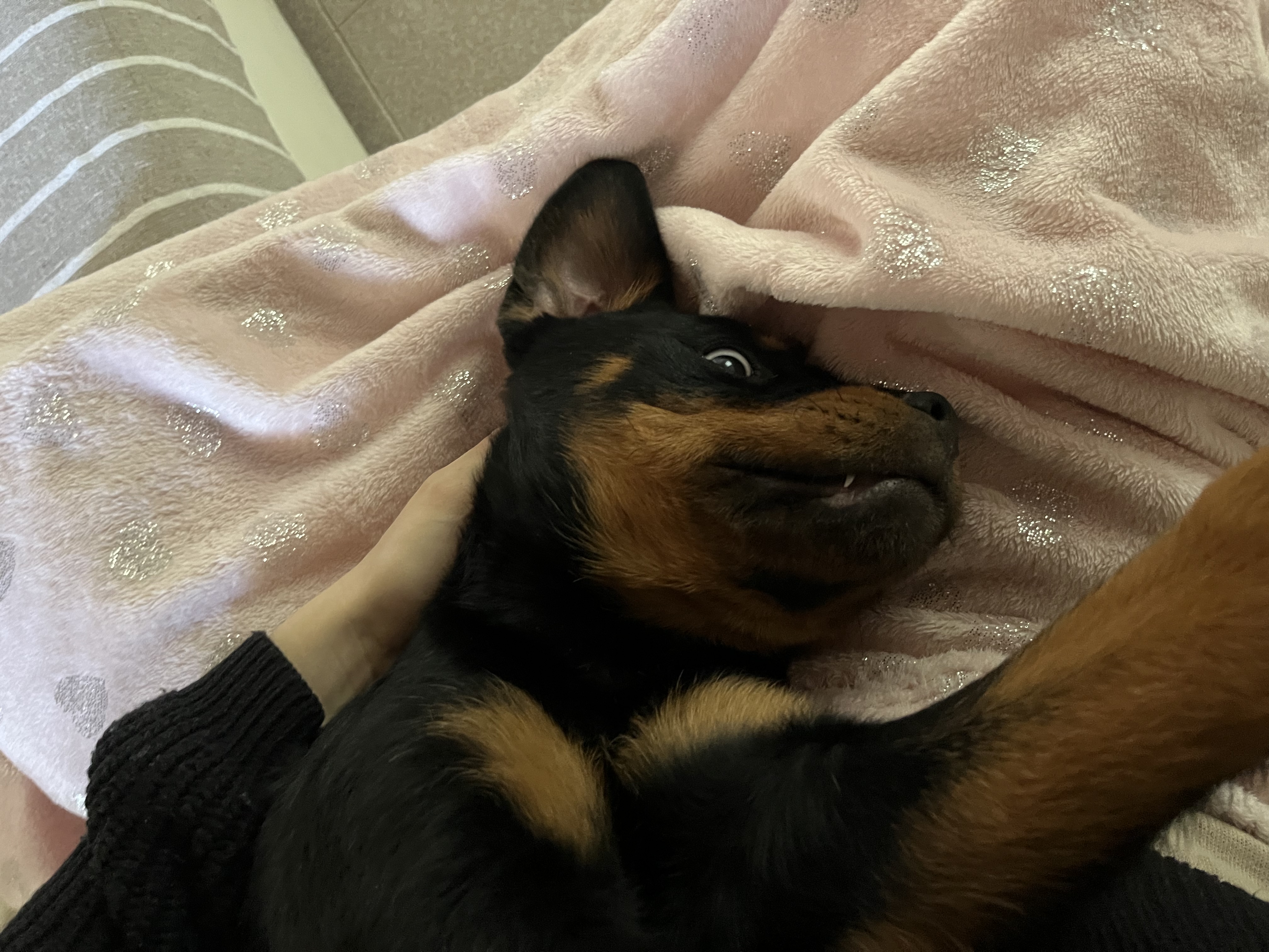 image-10