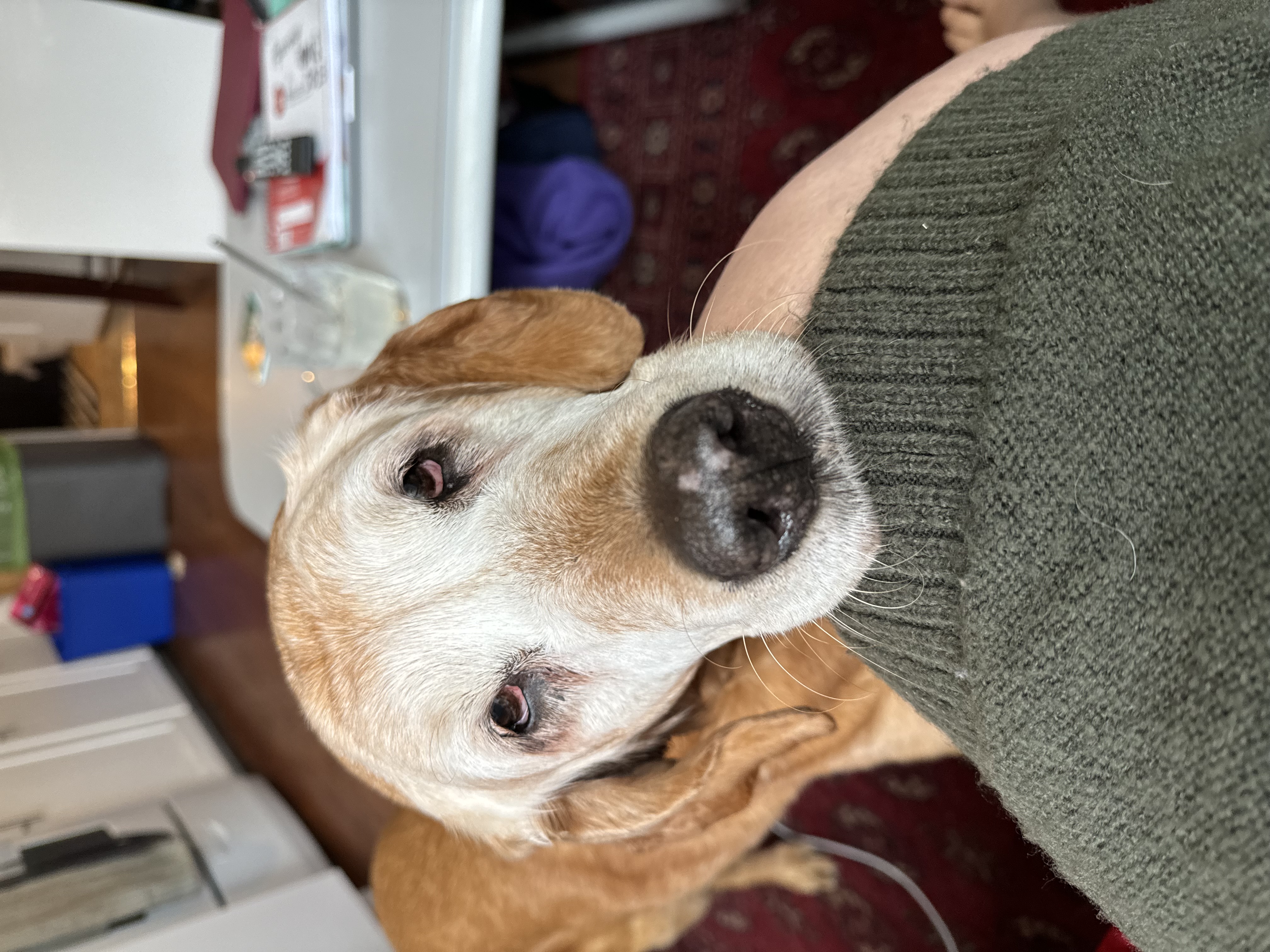 image-6