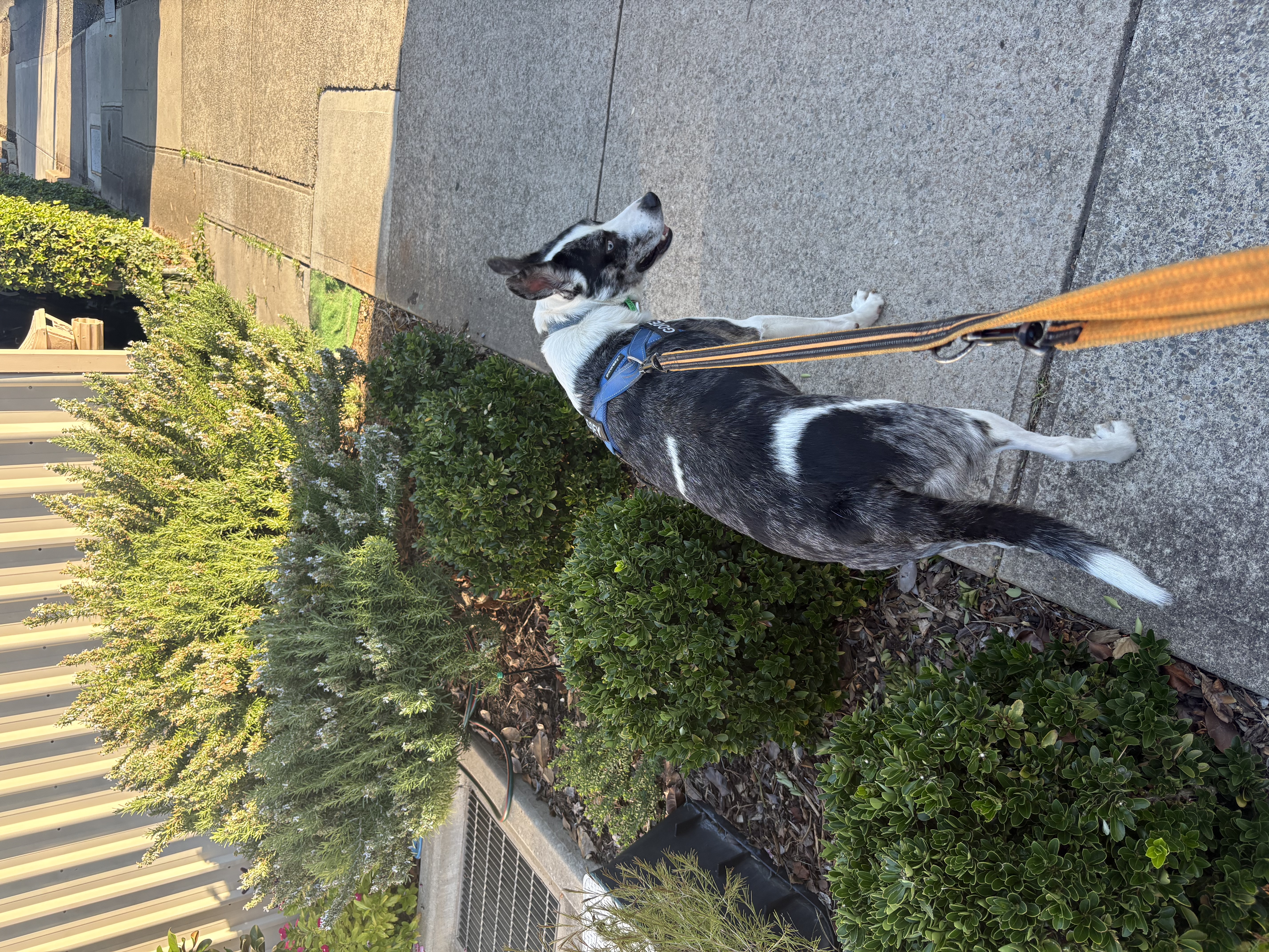 image-5