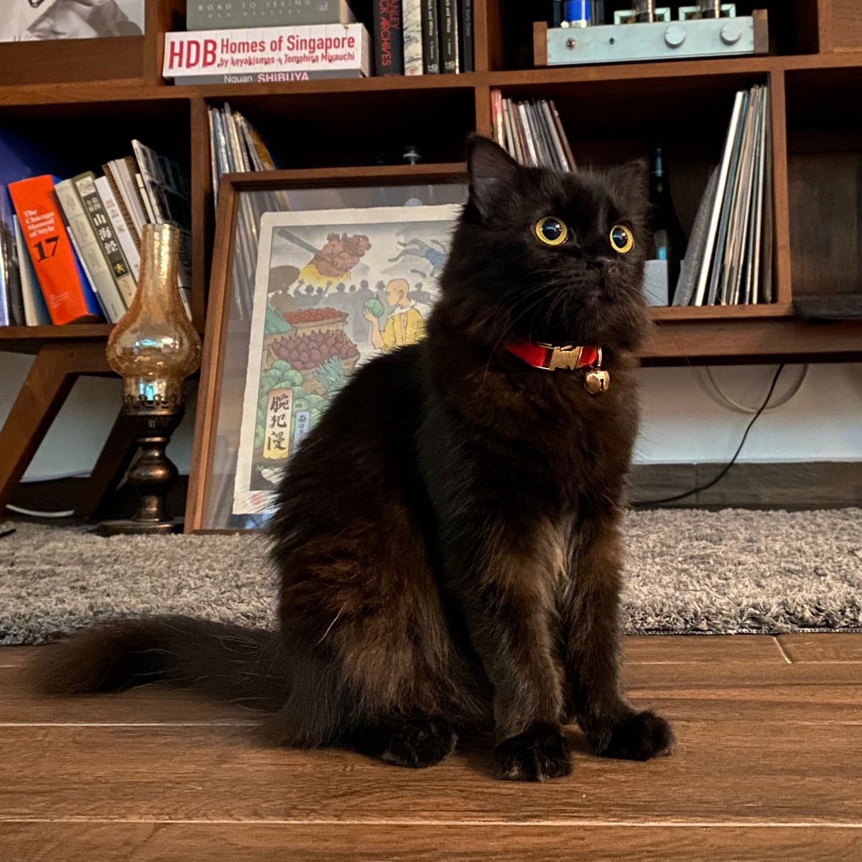Frankie