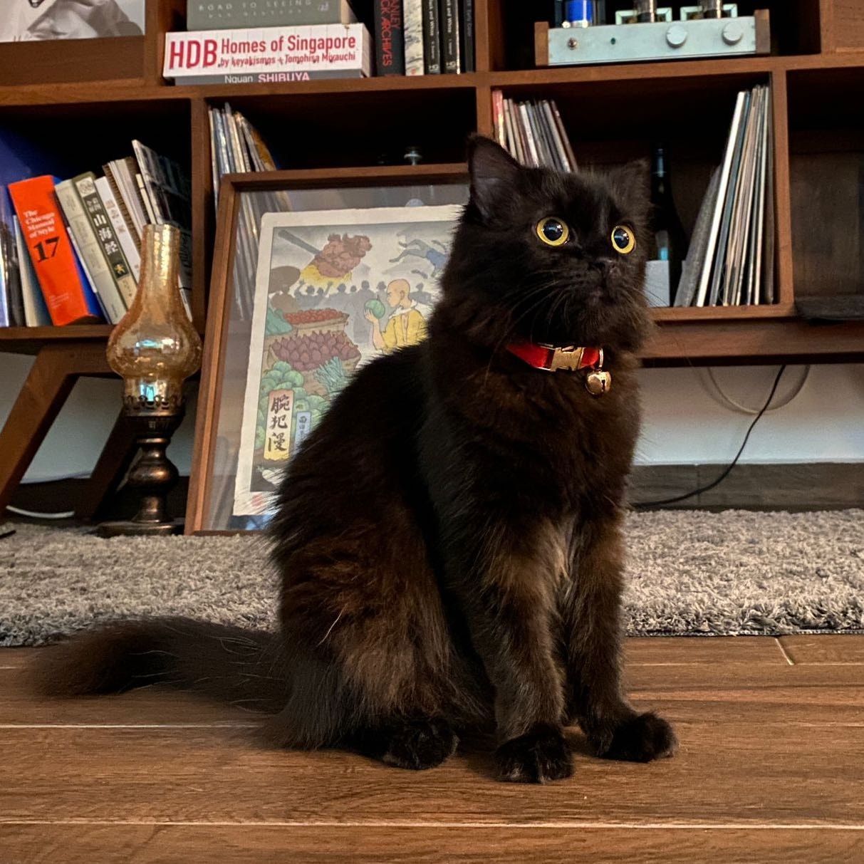 Frankie