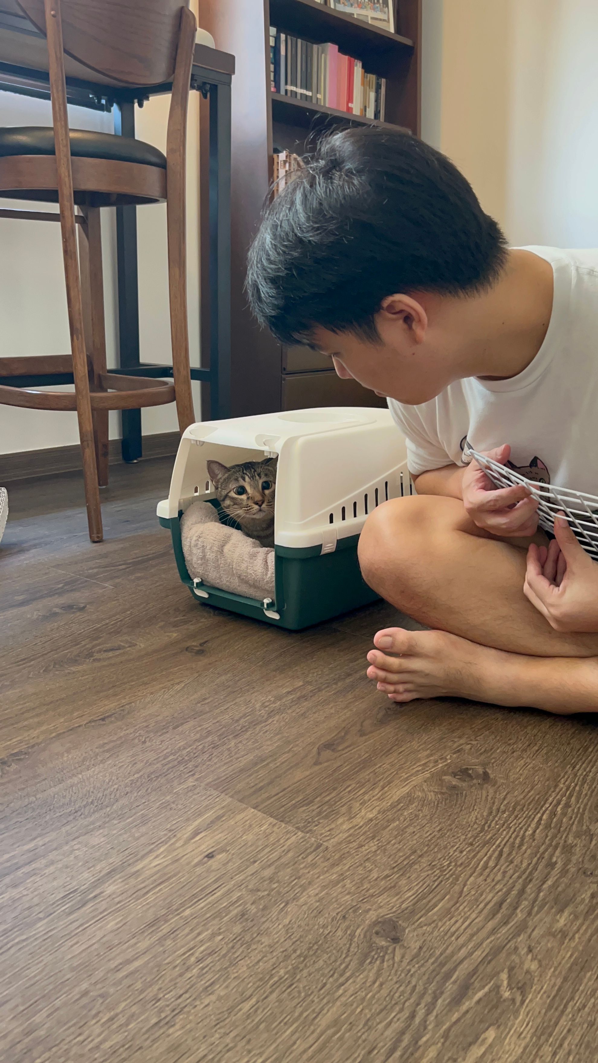 image-8