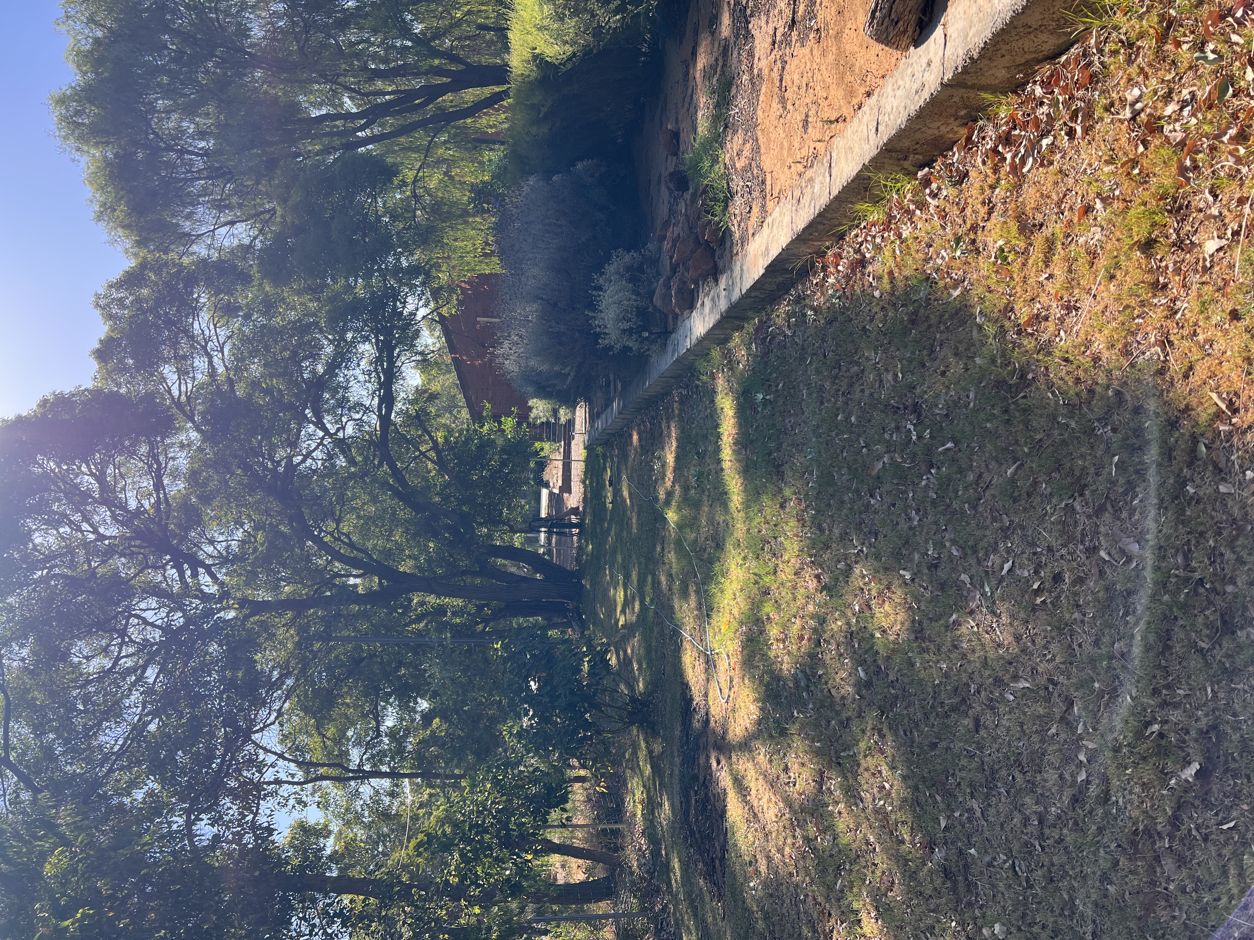 image-14