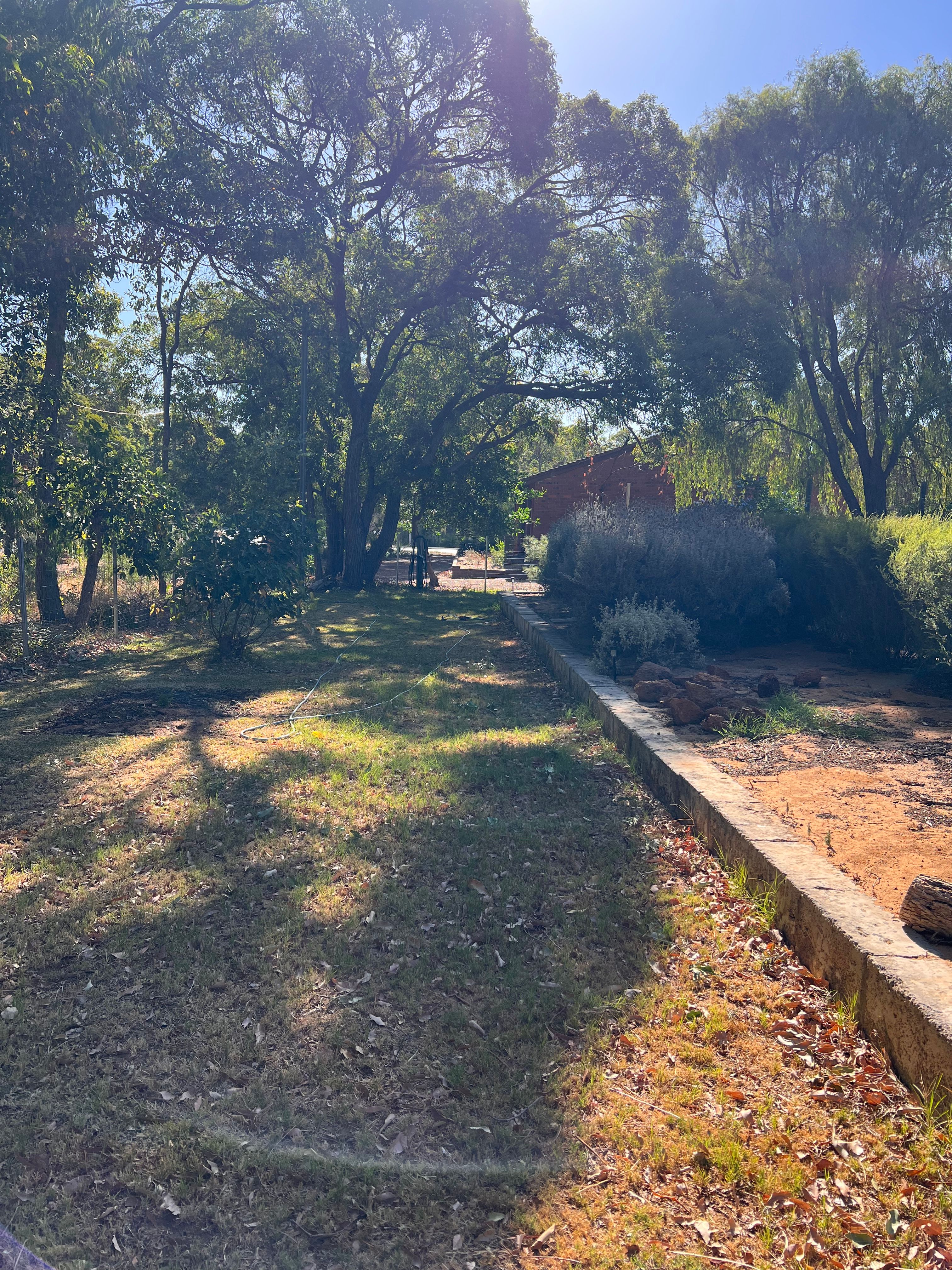 image-14
