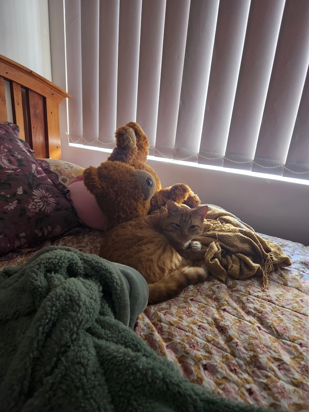 image-10