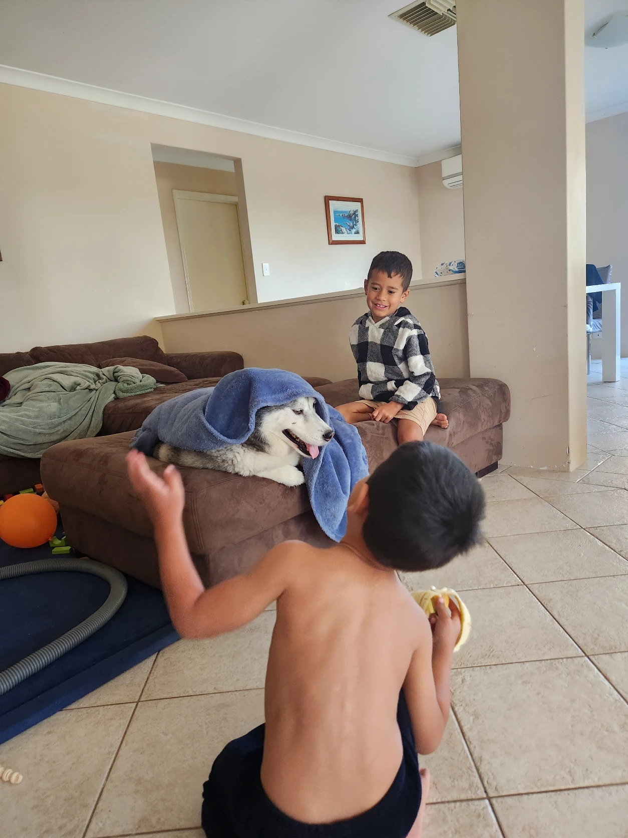 image-7