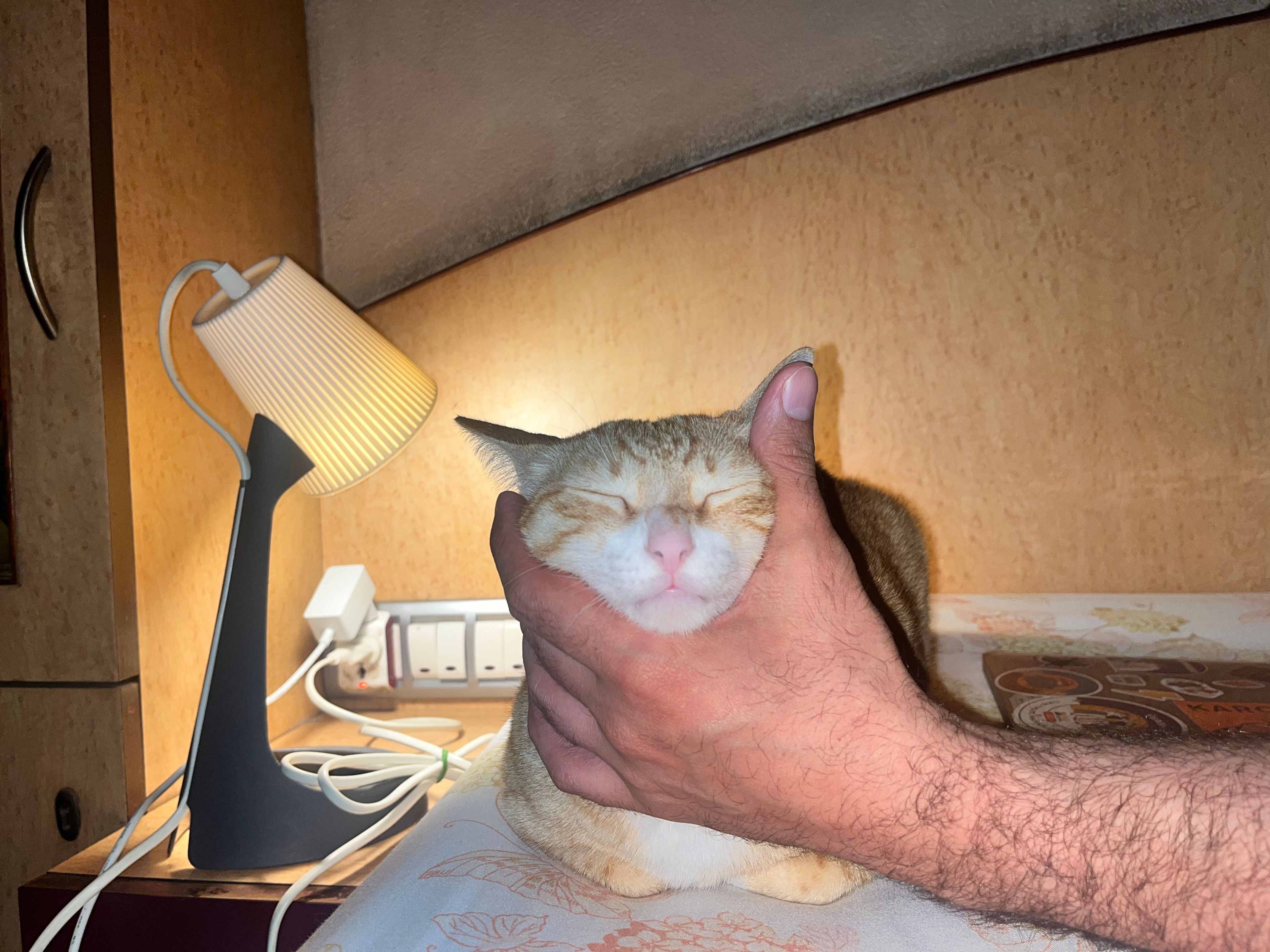 image-11