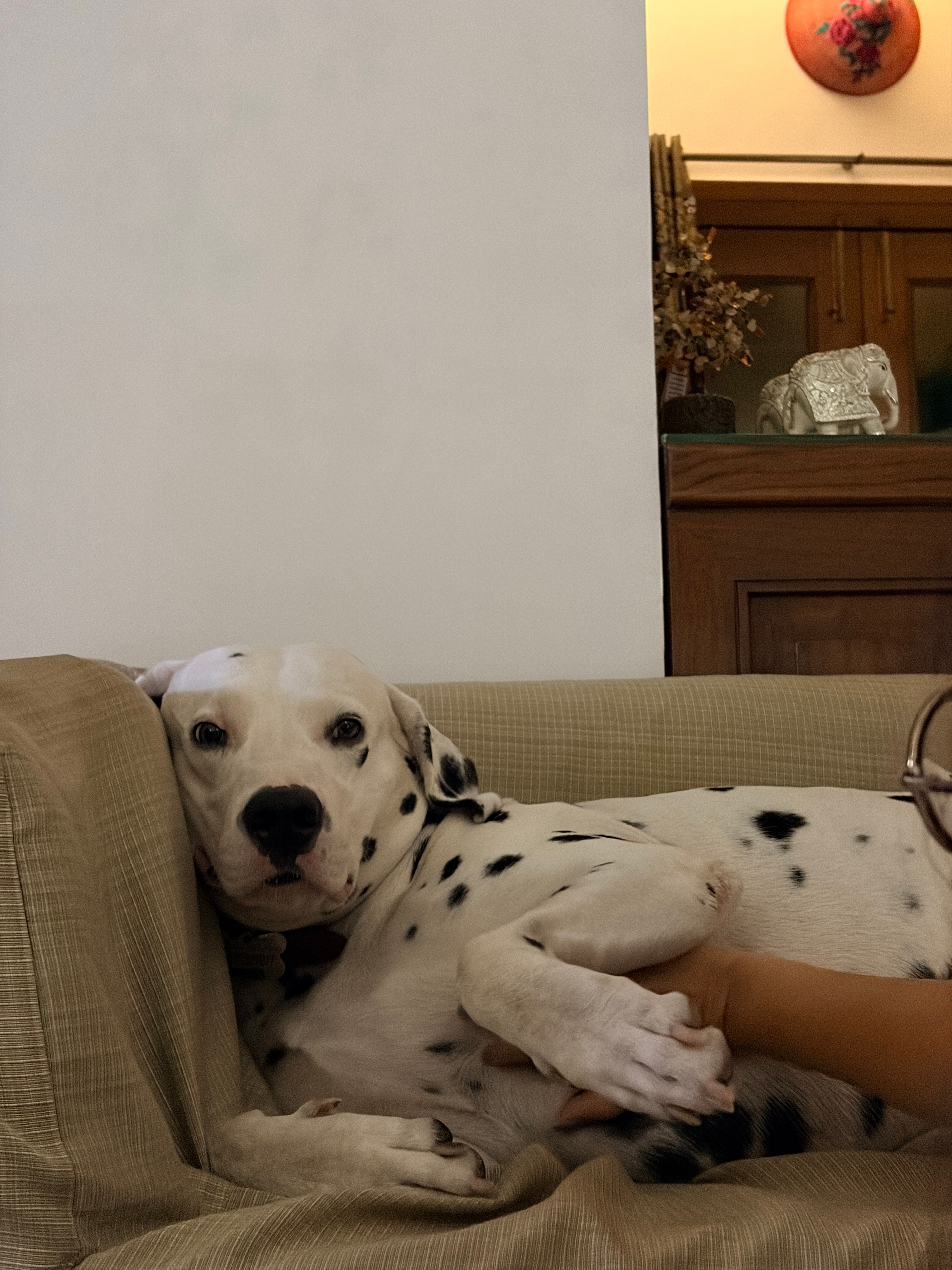image-16
