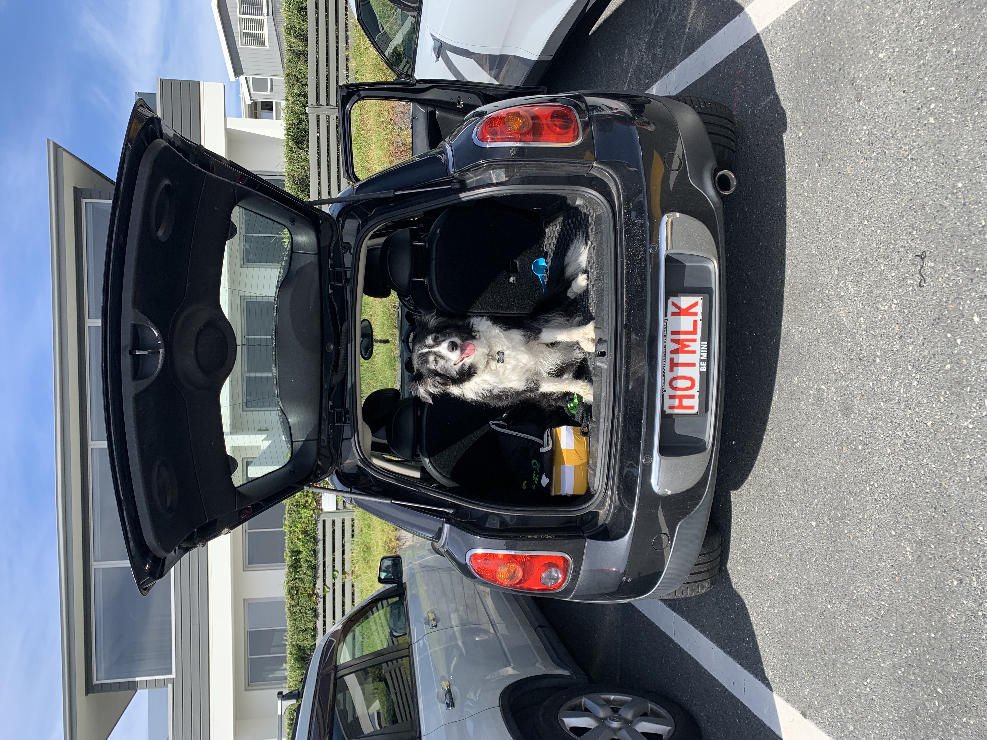 image-12