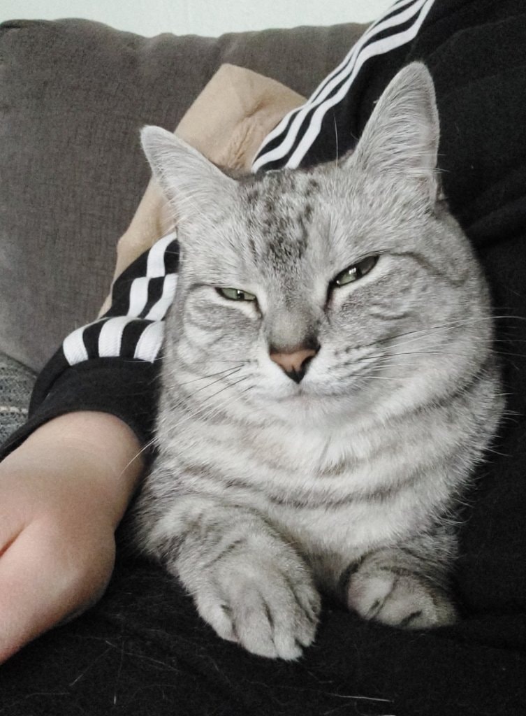 image-8