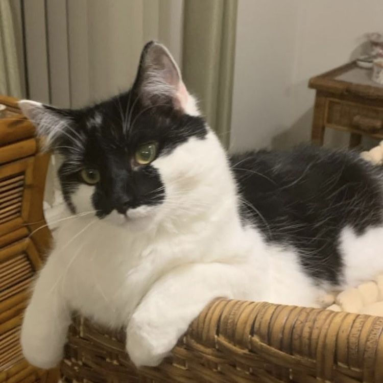 Sam