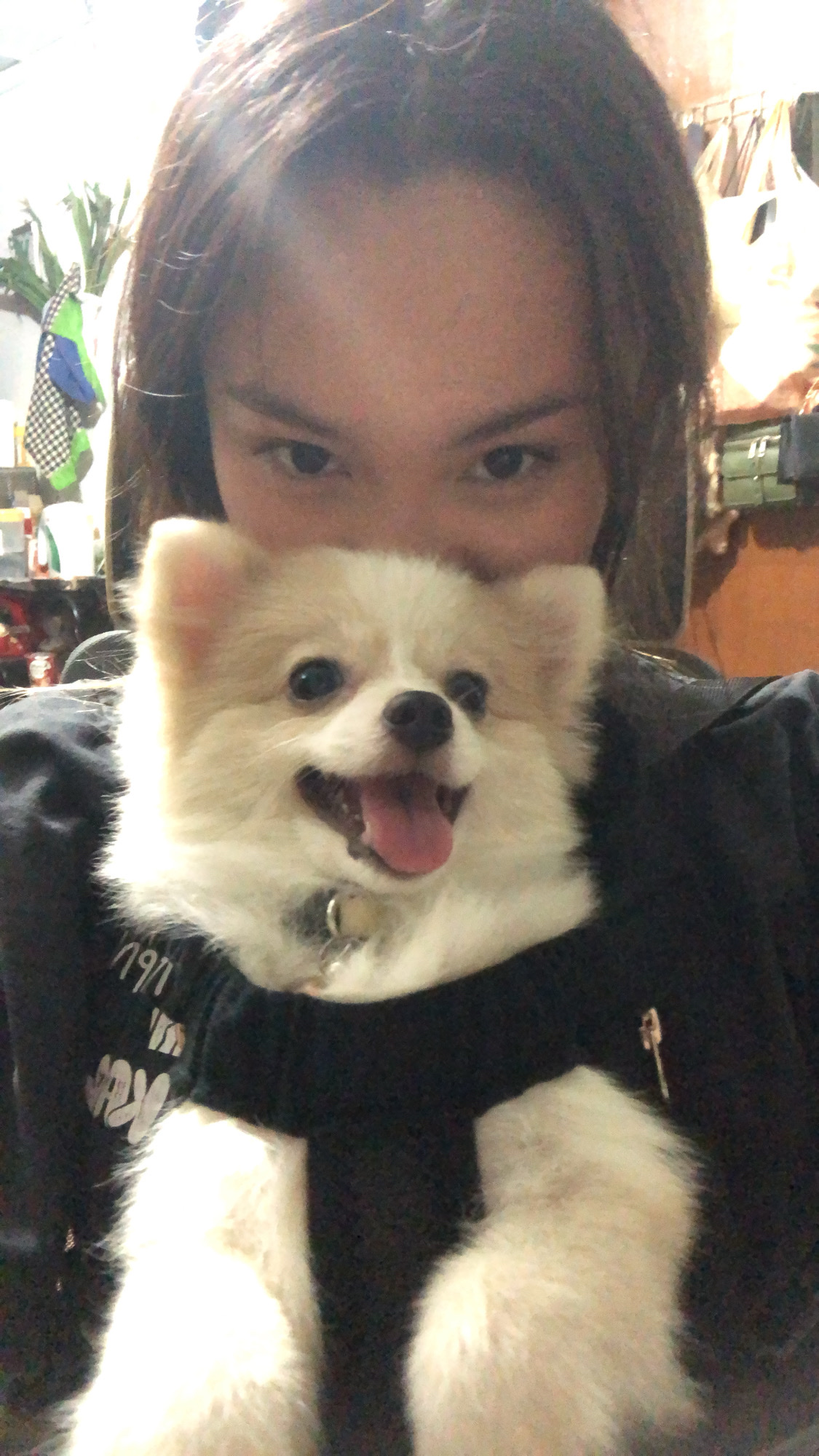 image-7