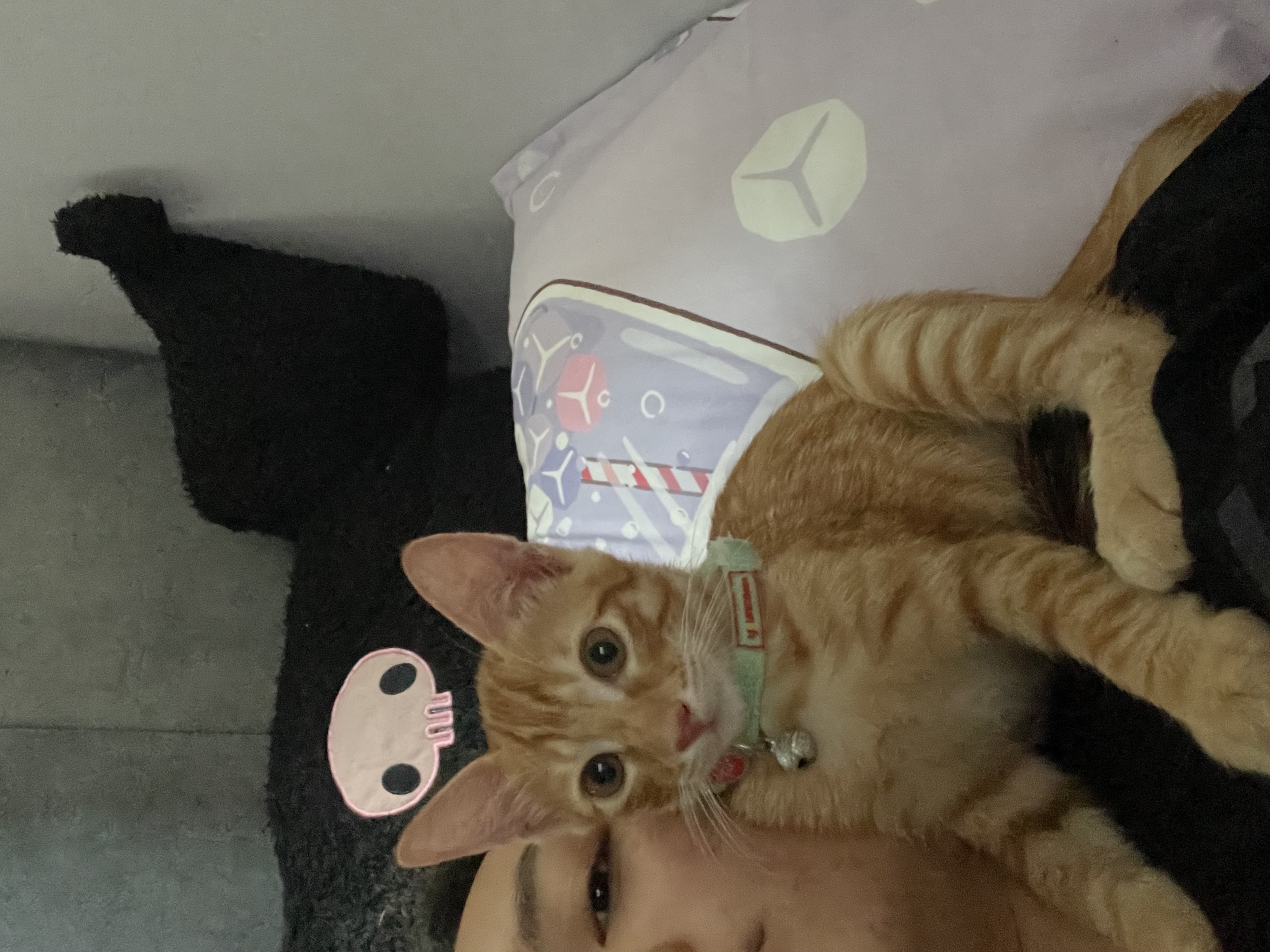 image-10