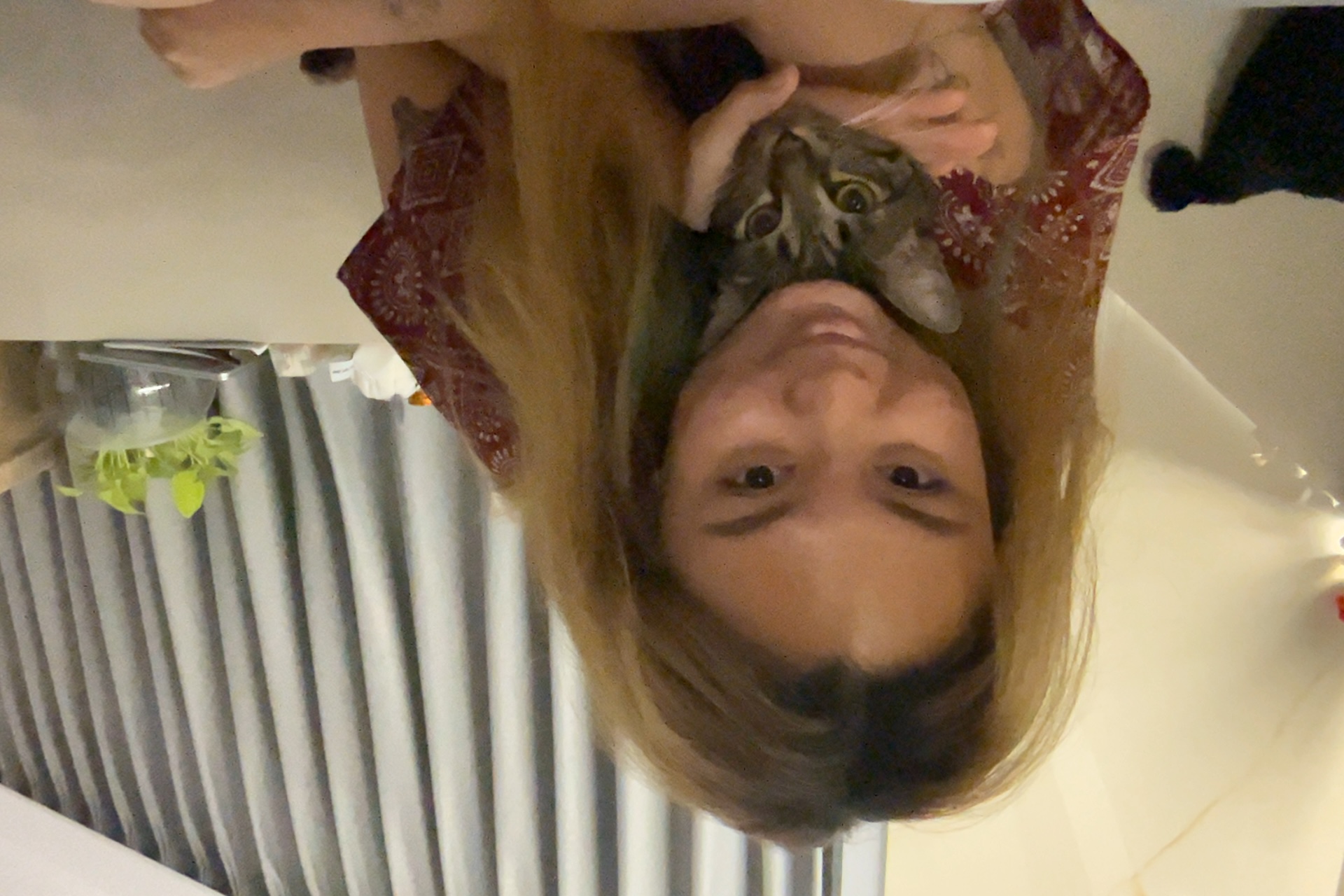 image-11