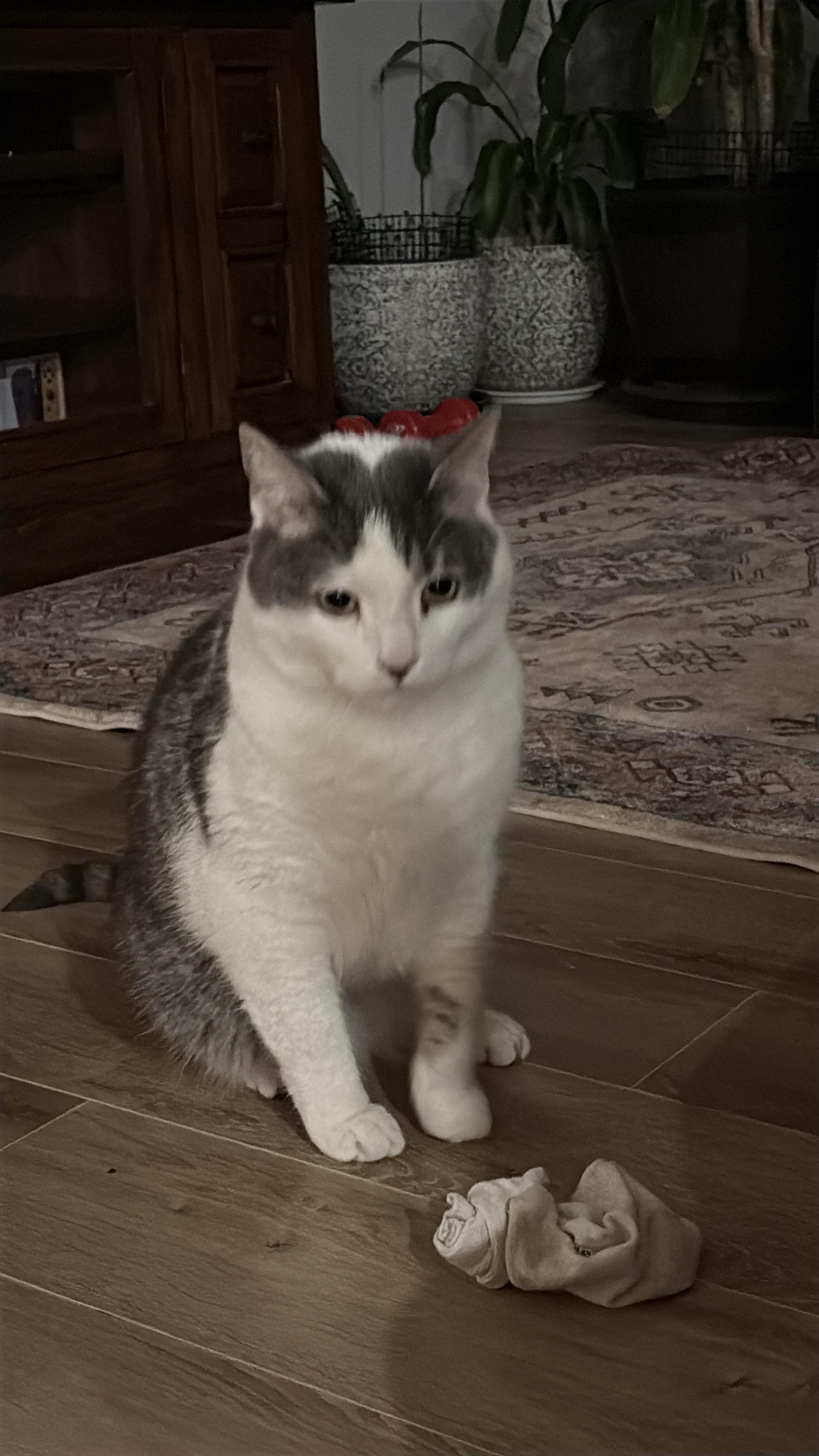 image-12