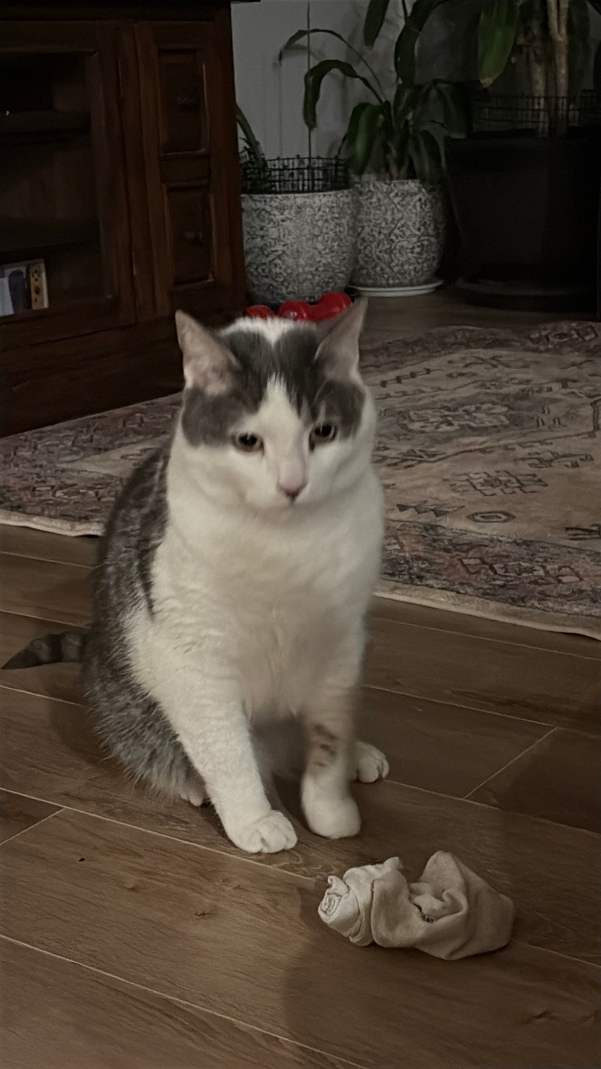 image-12