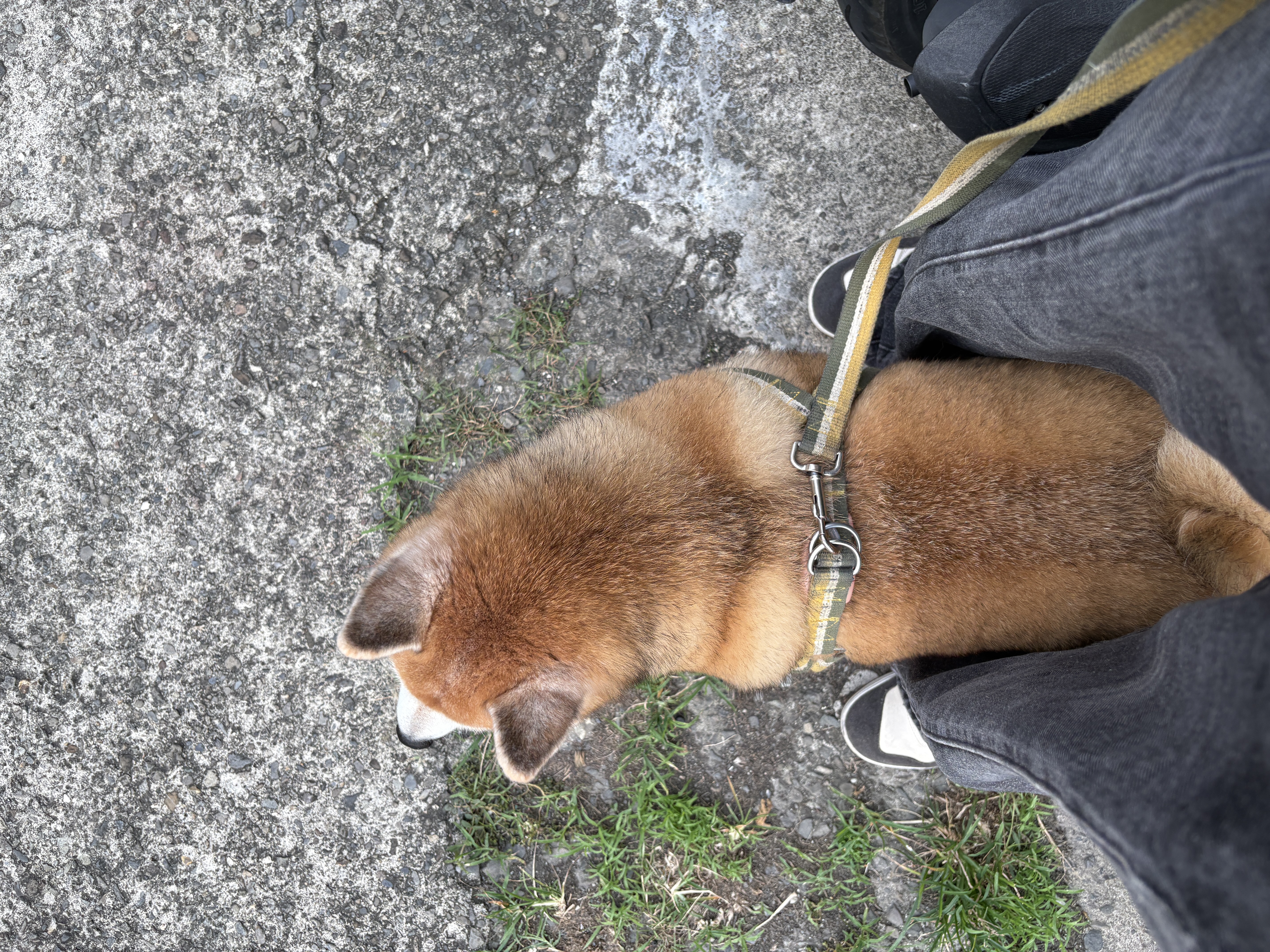 image-9