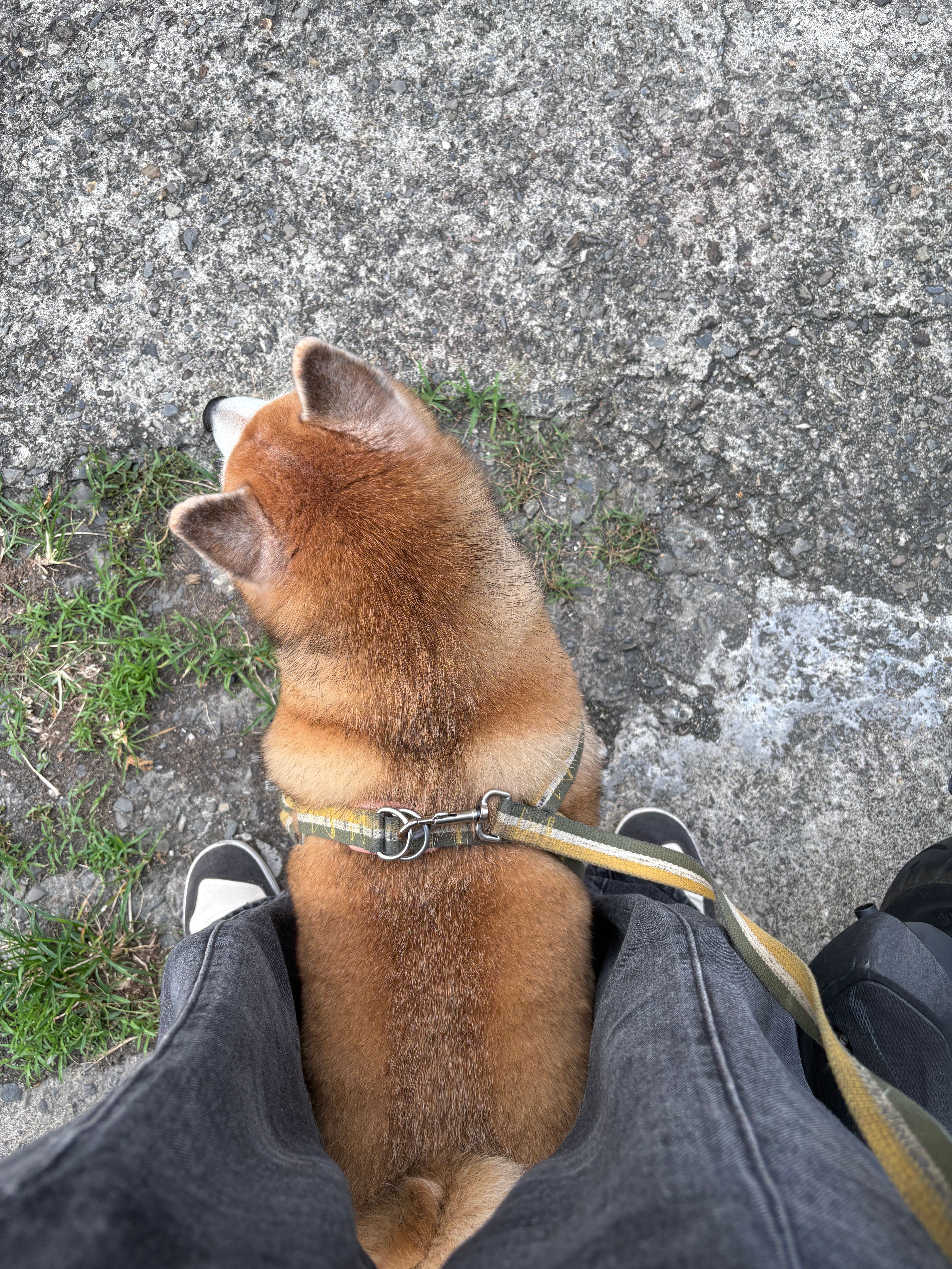 image-9