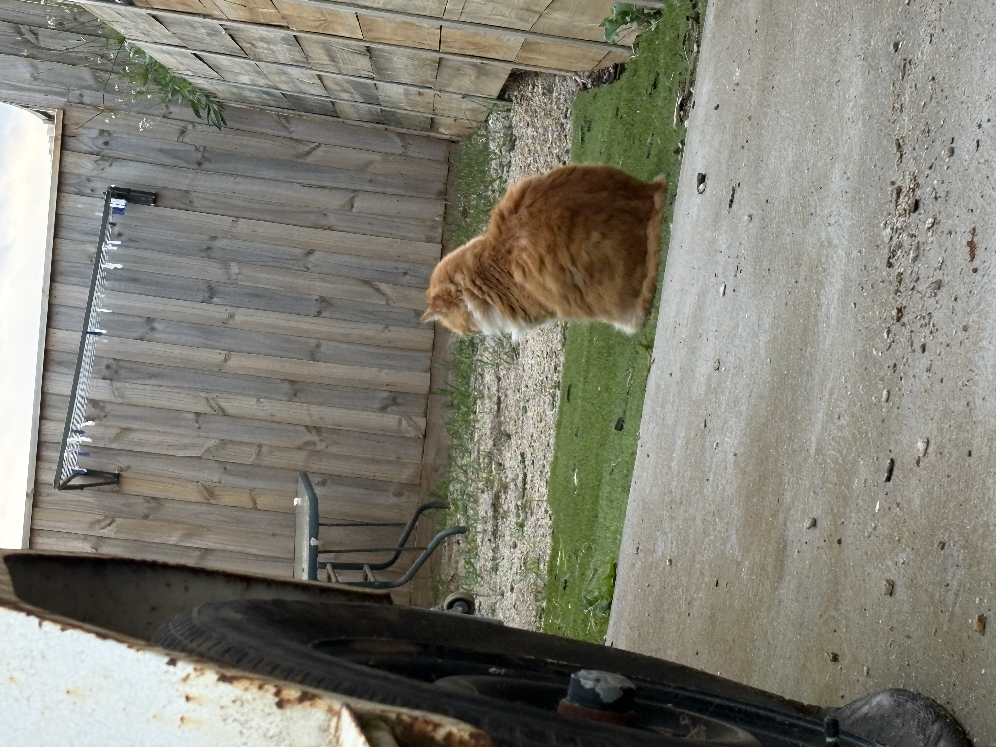 image-11
