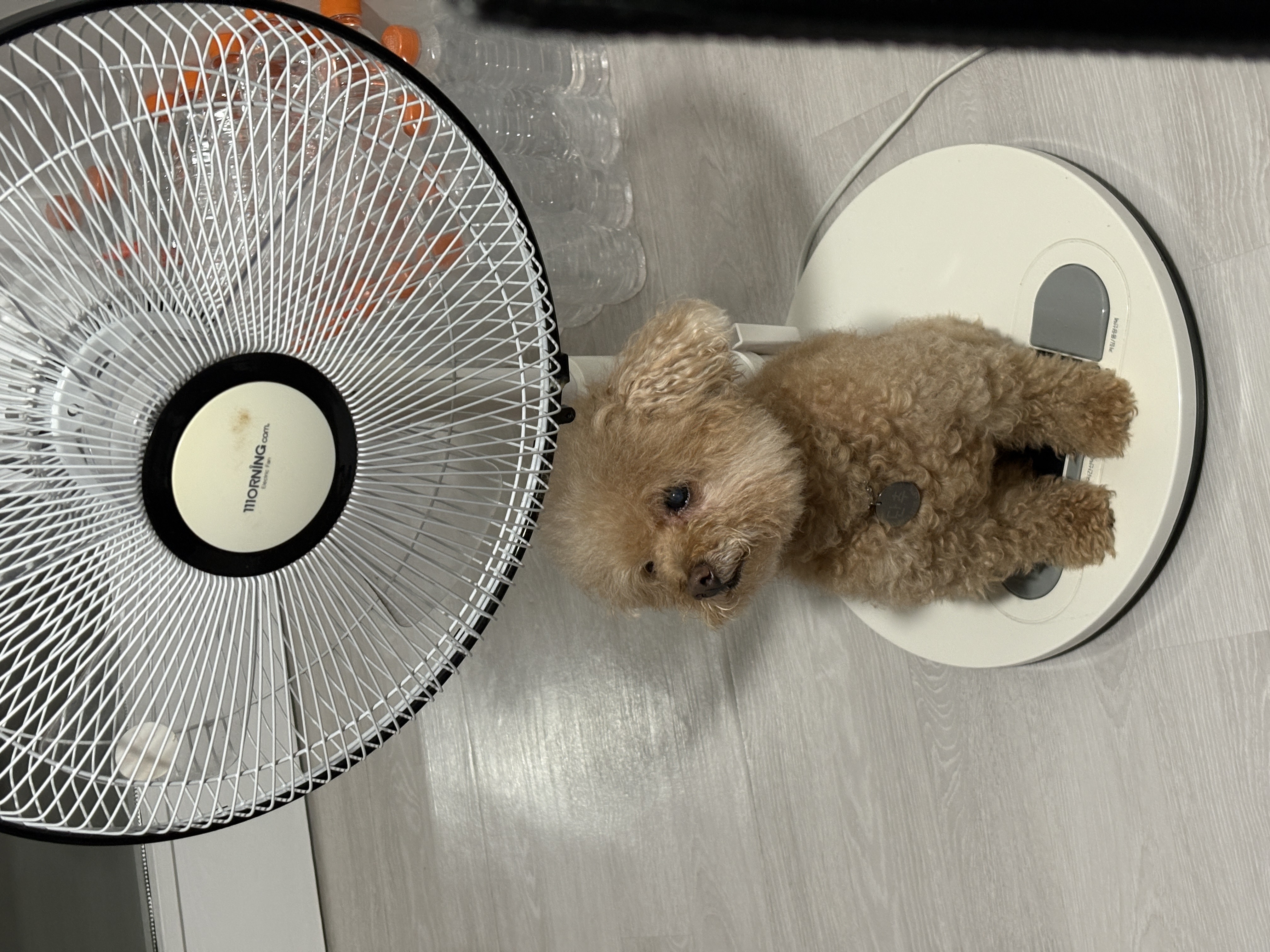 image-13