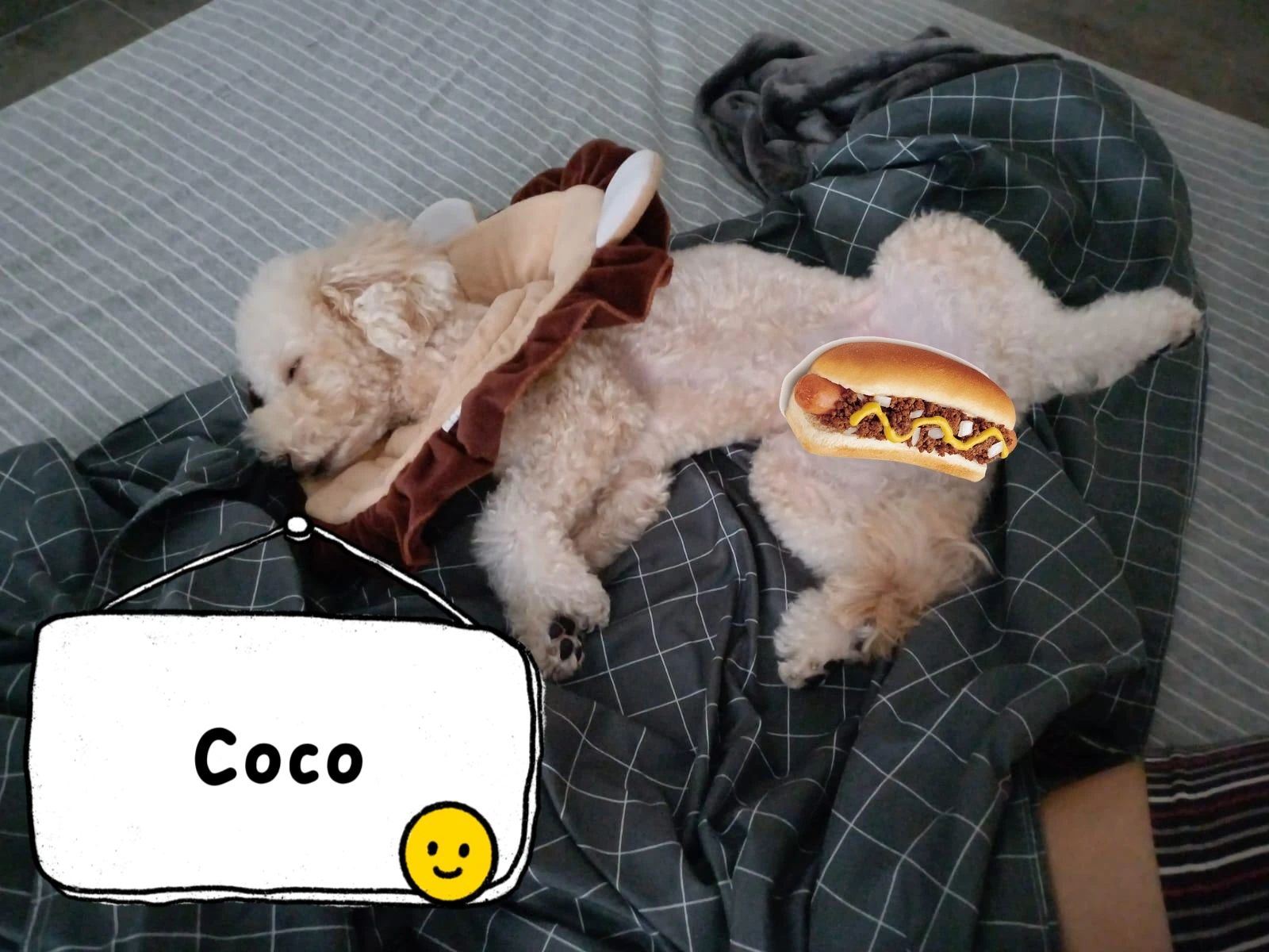 image-4