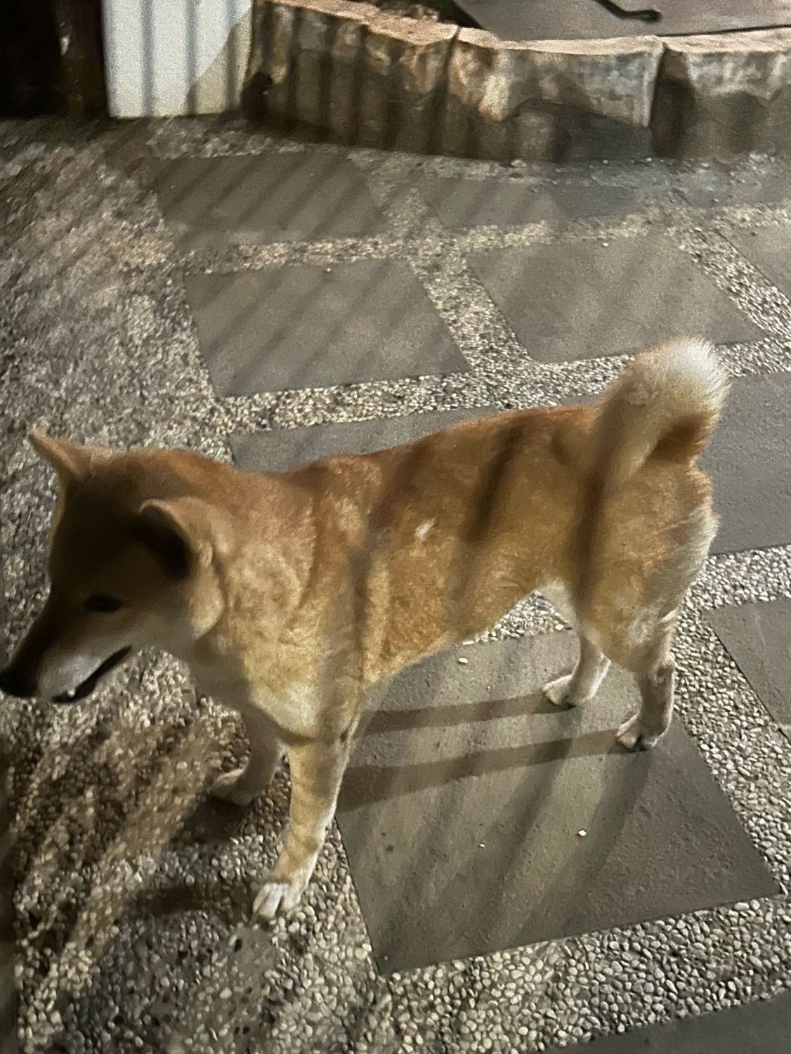 image-2