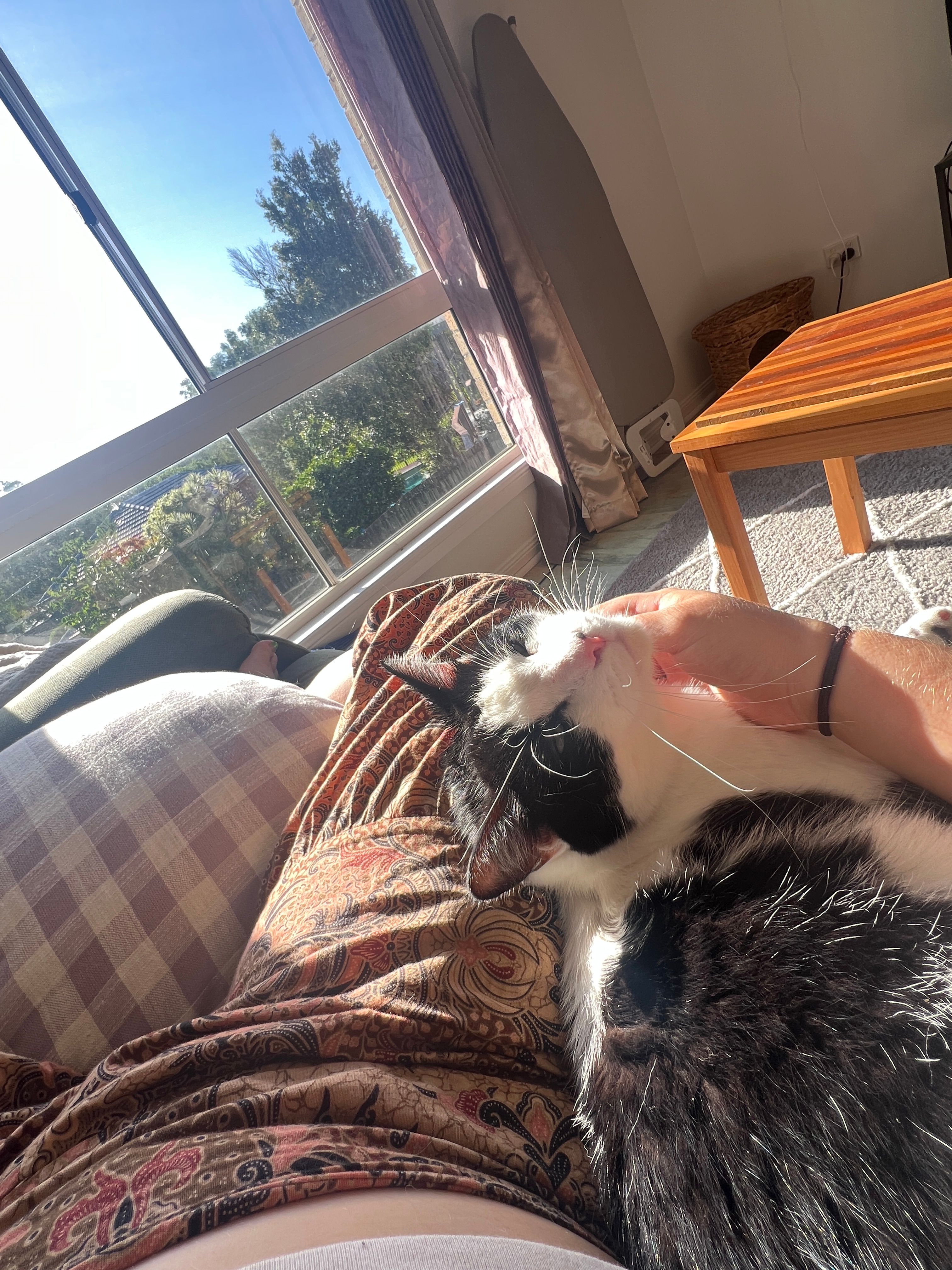 image-3