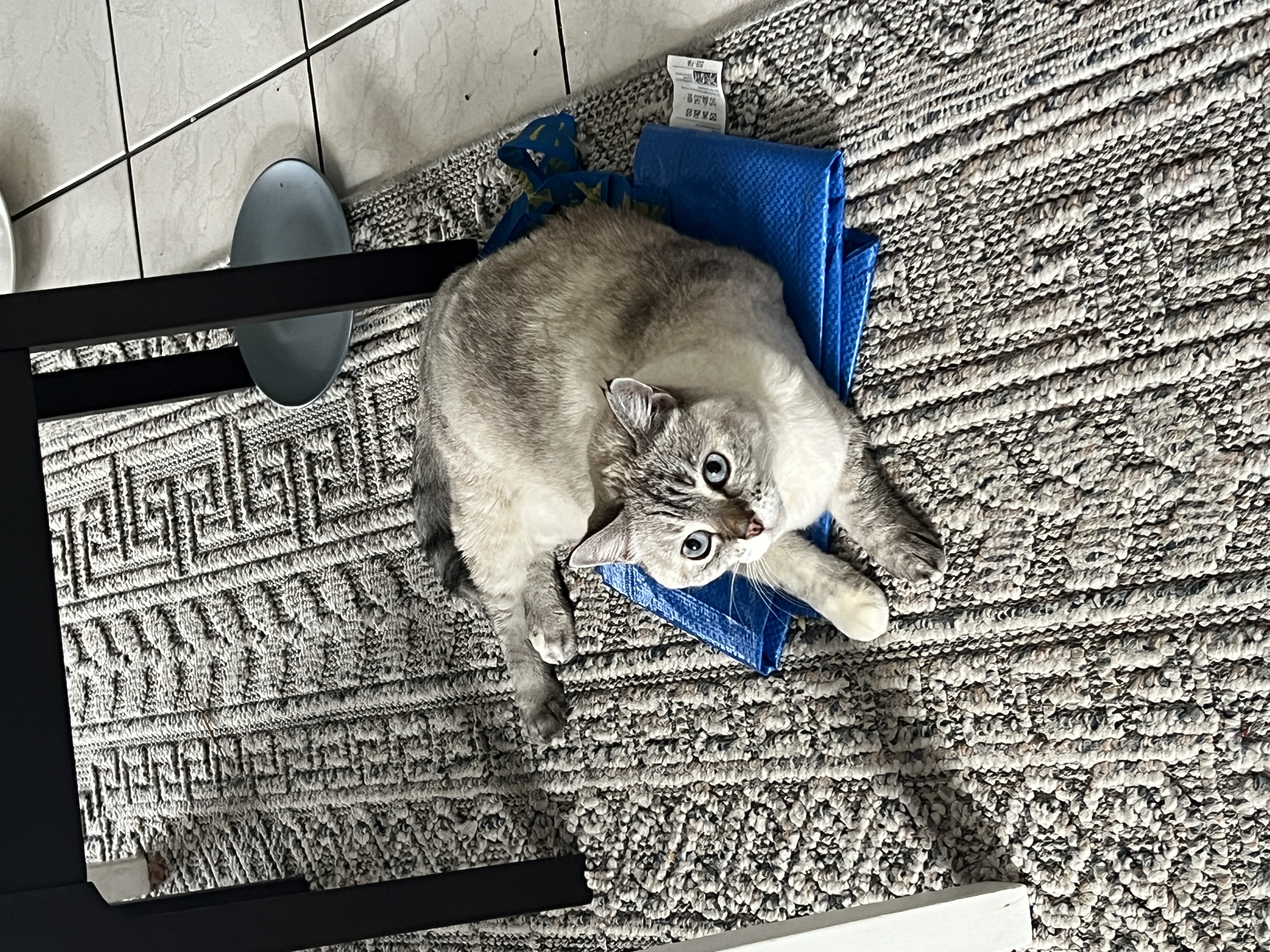 image-6