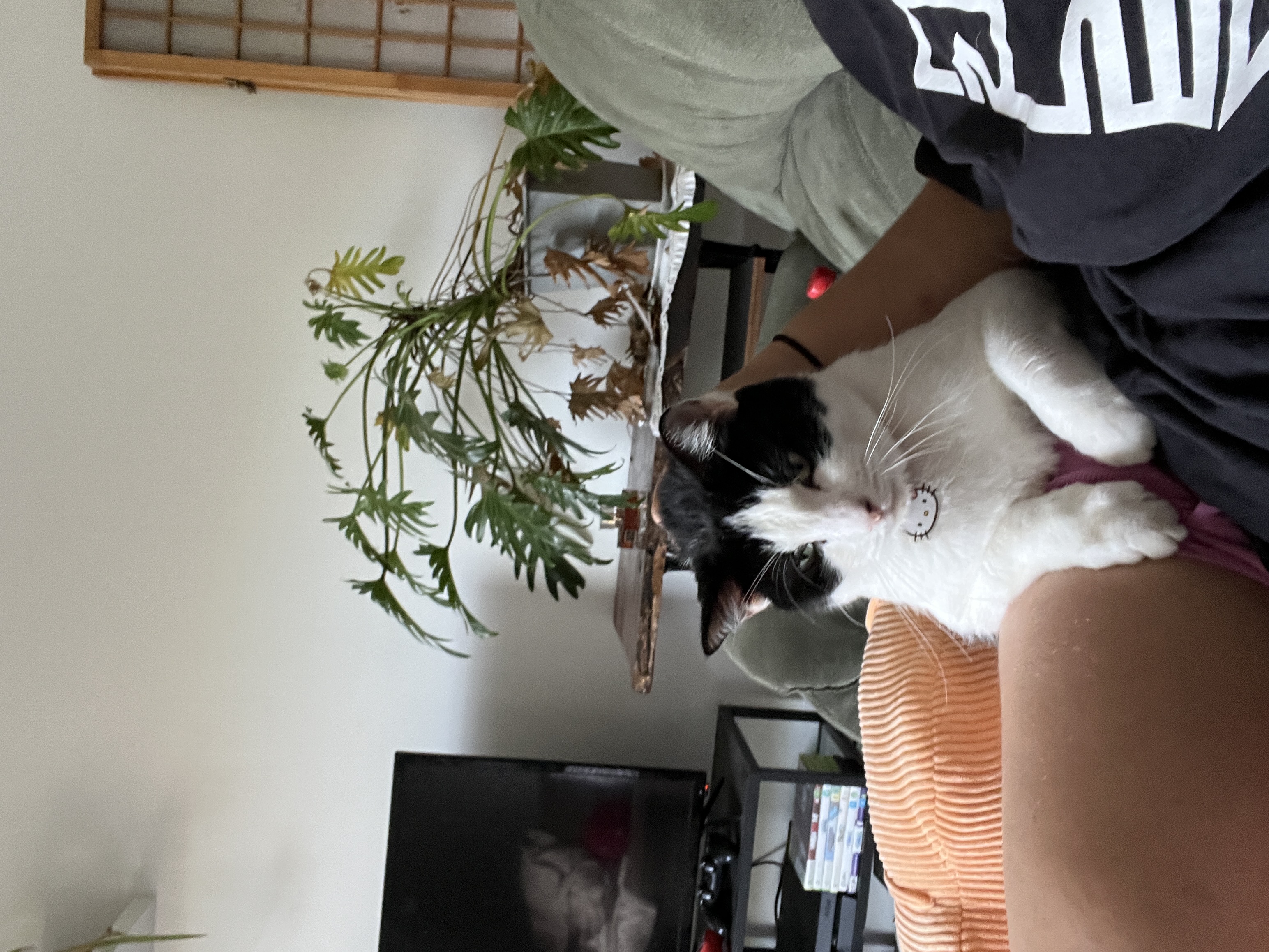 image-5