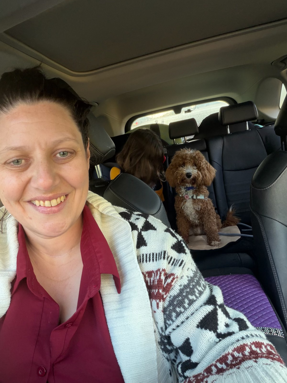 image-3