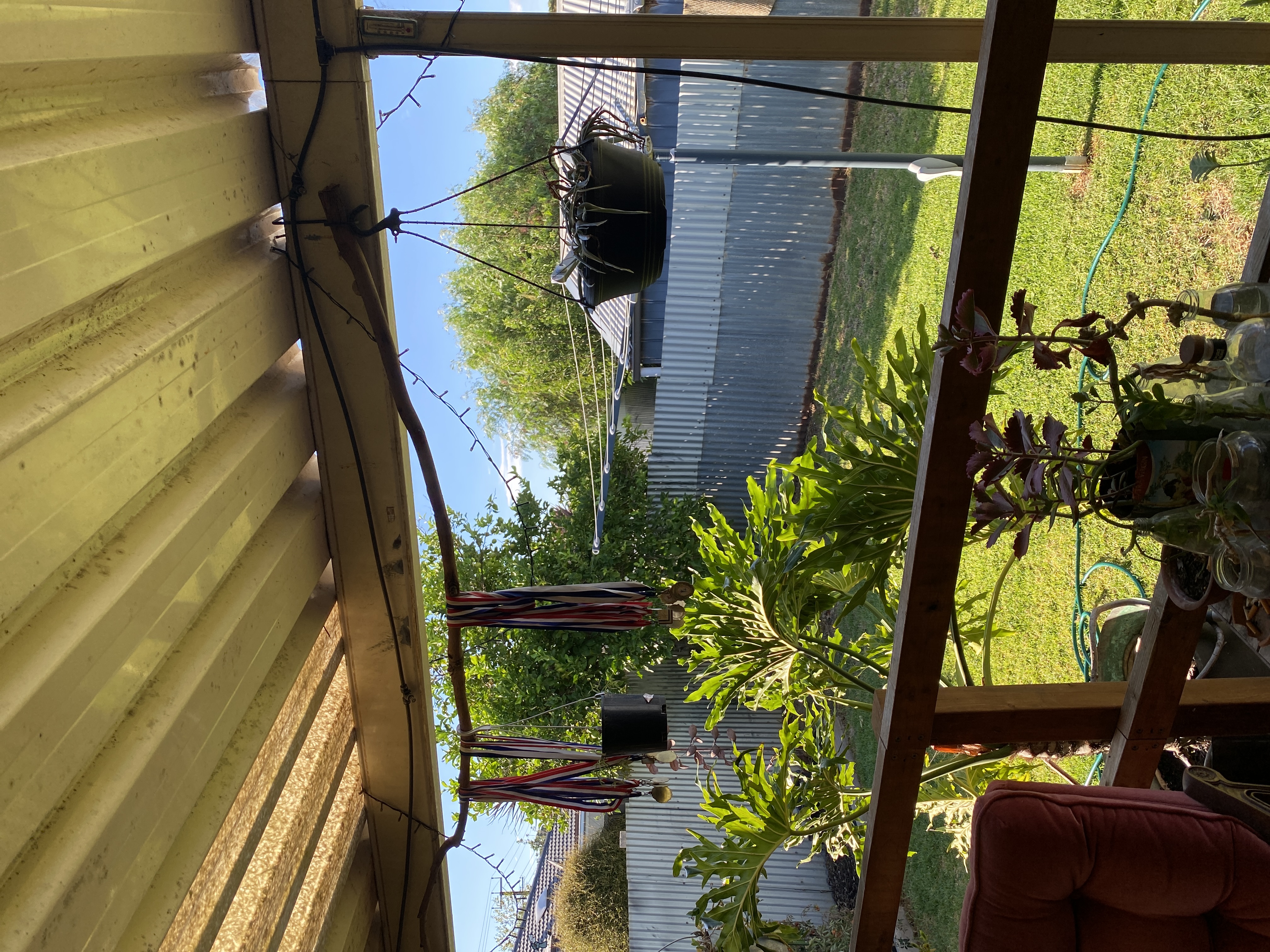 image-5