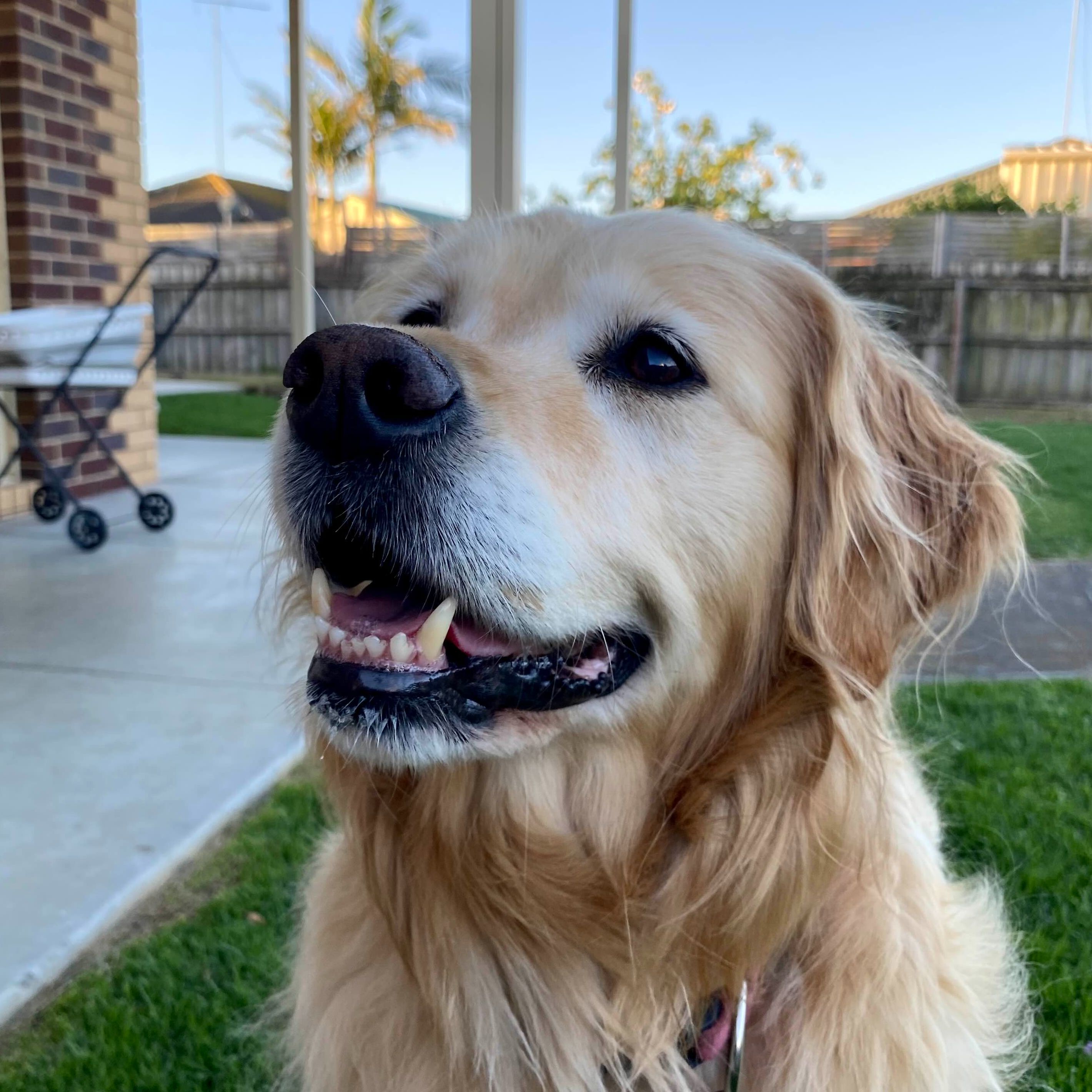 Marley 