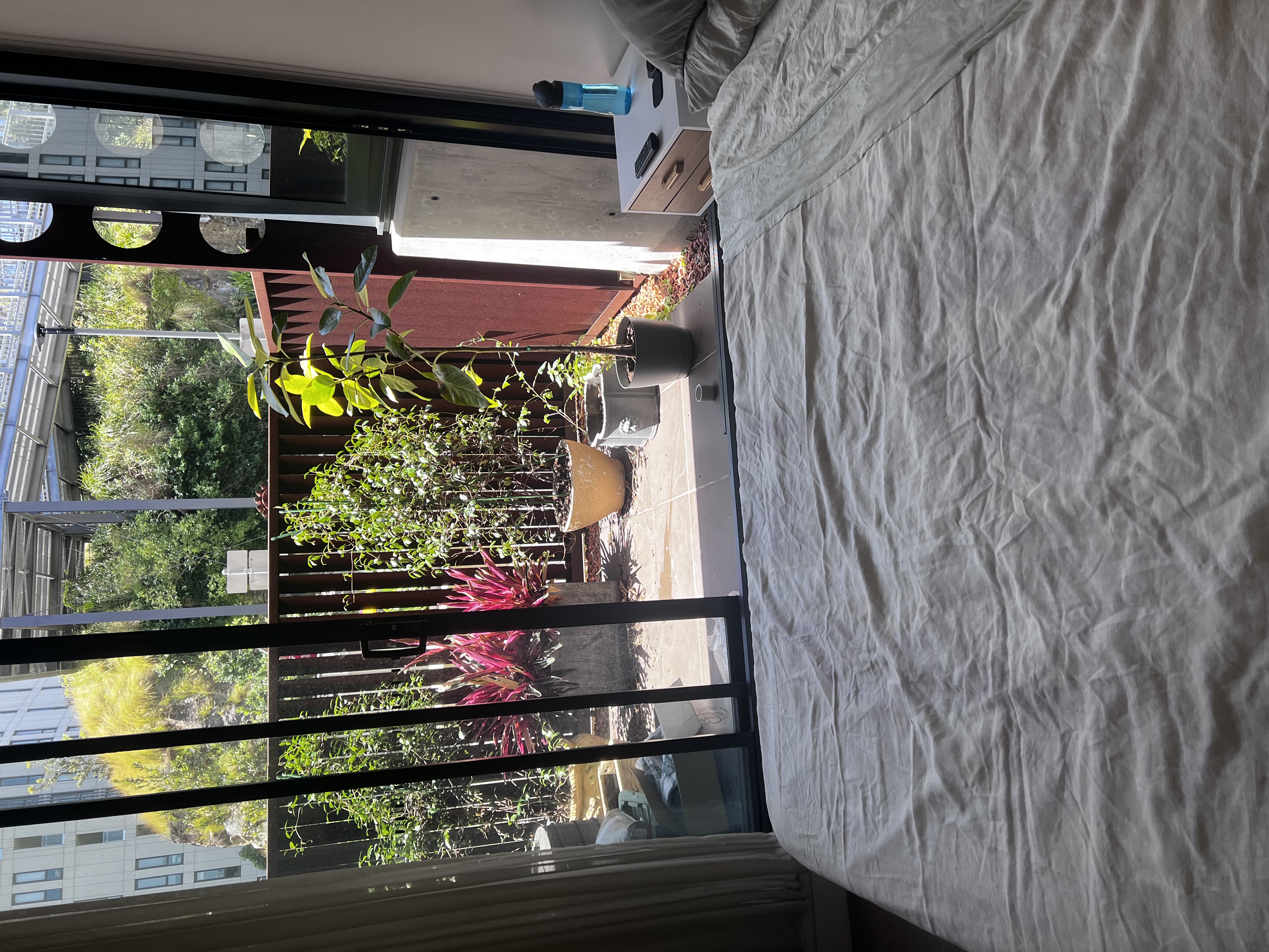 image-14