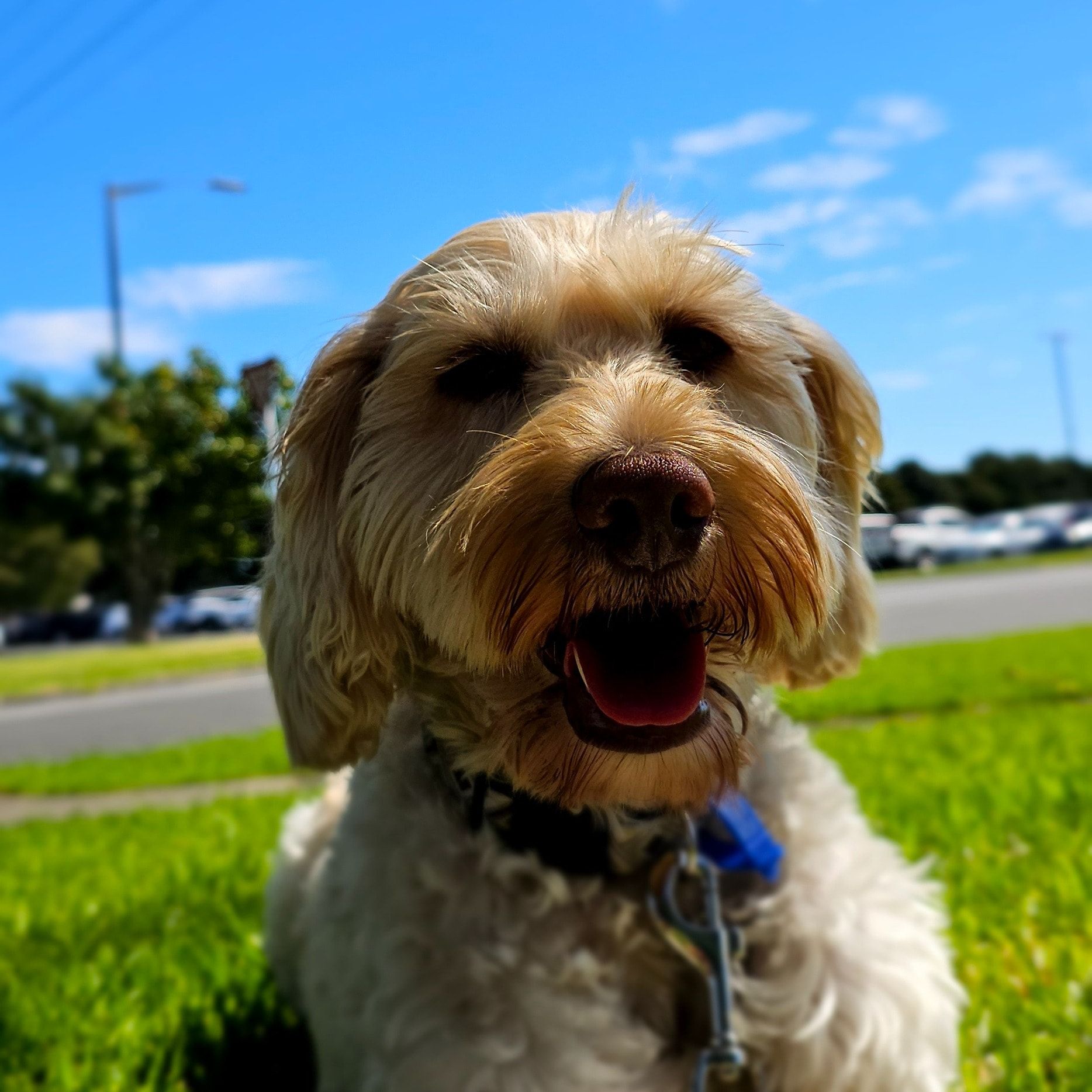 Luna