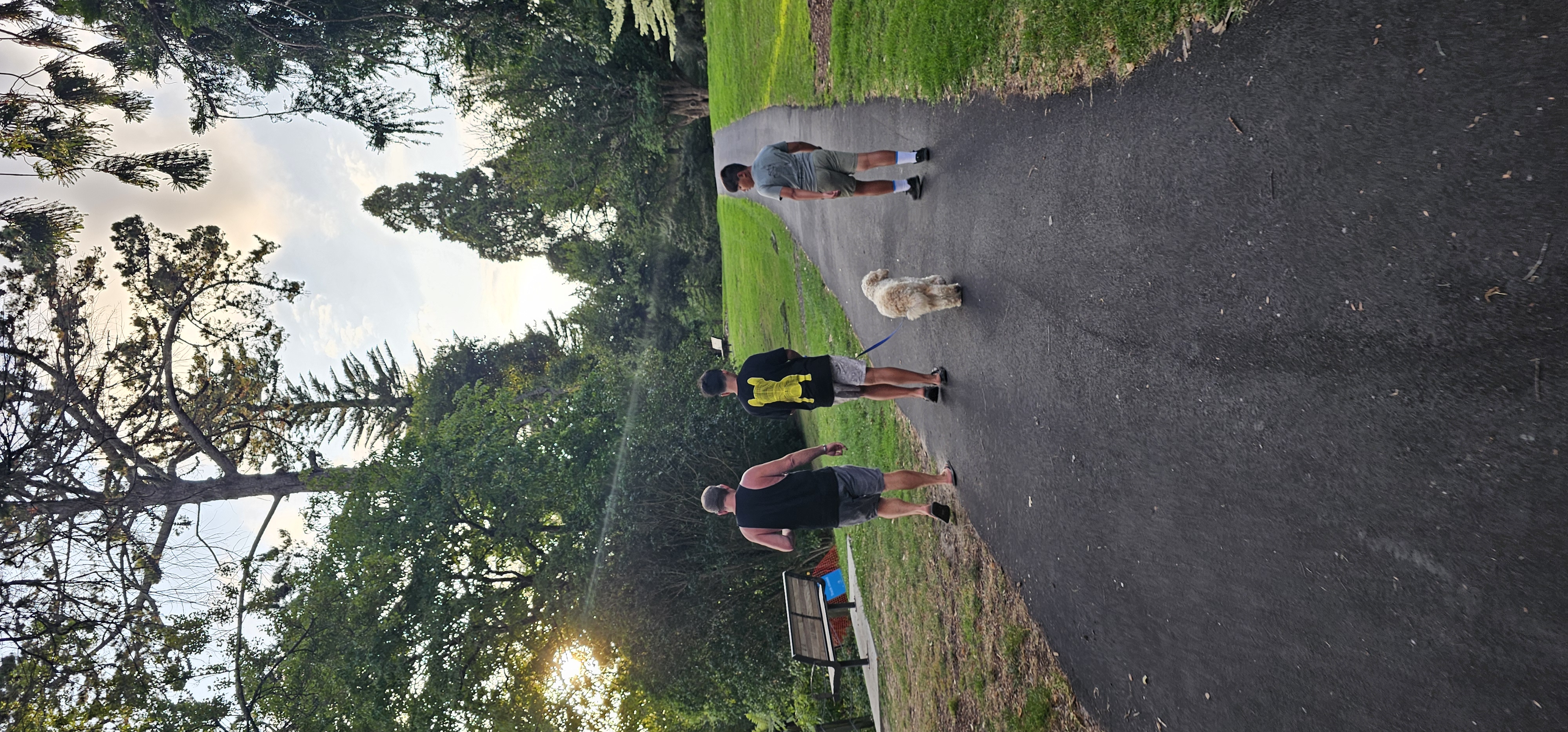 image-3