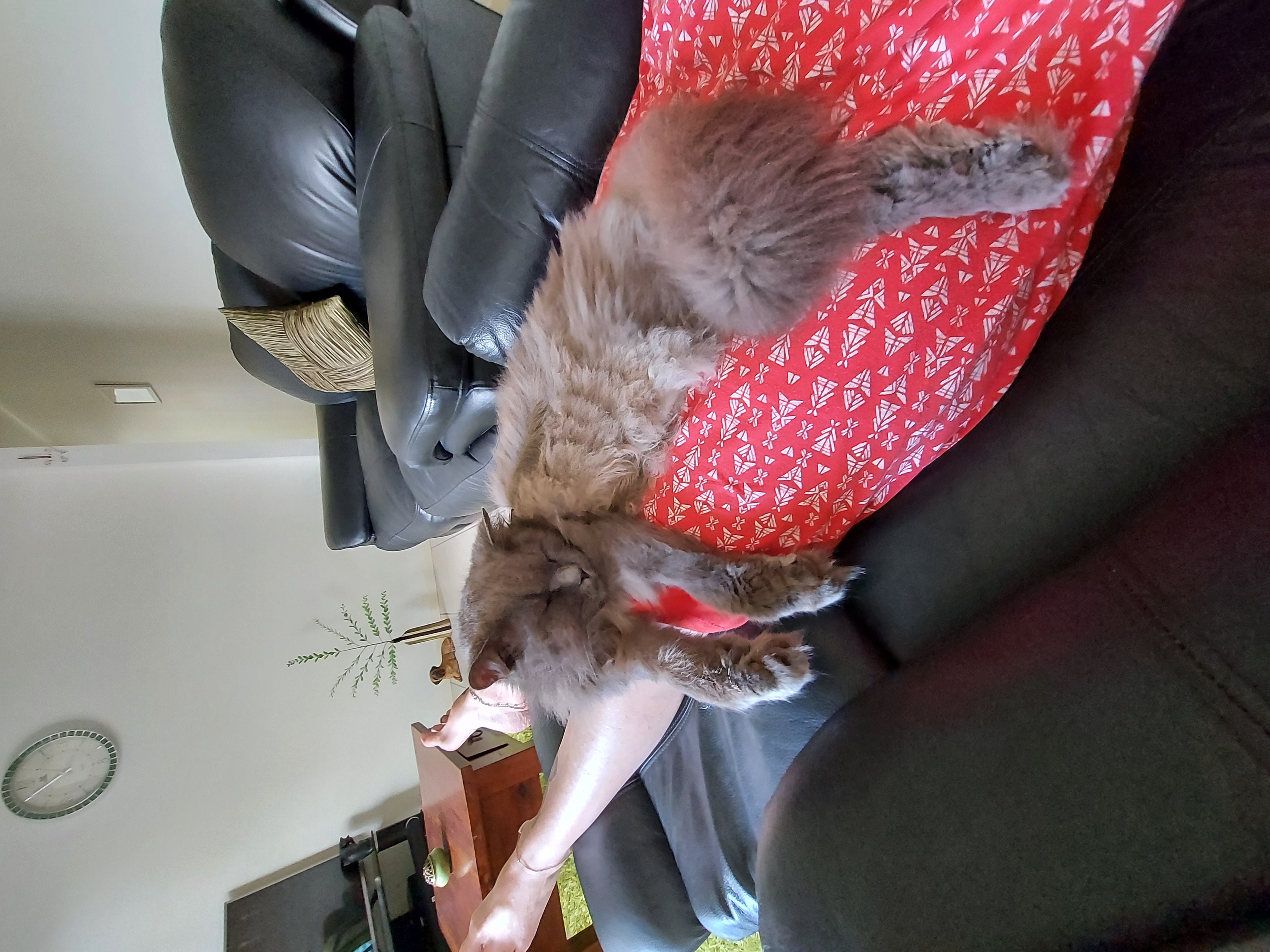 image-7