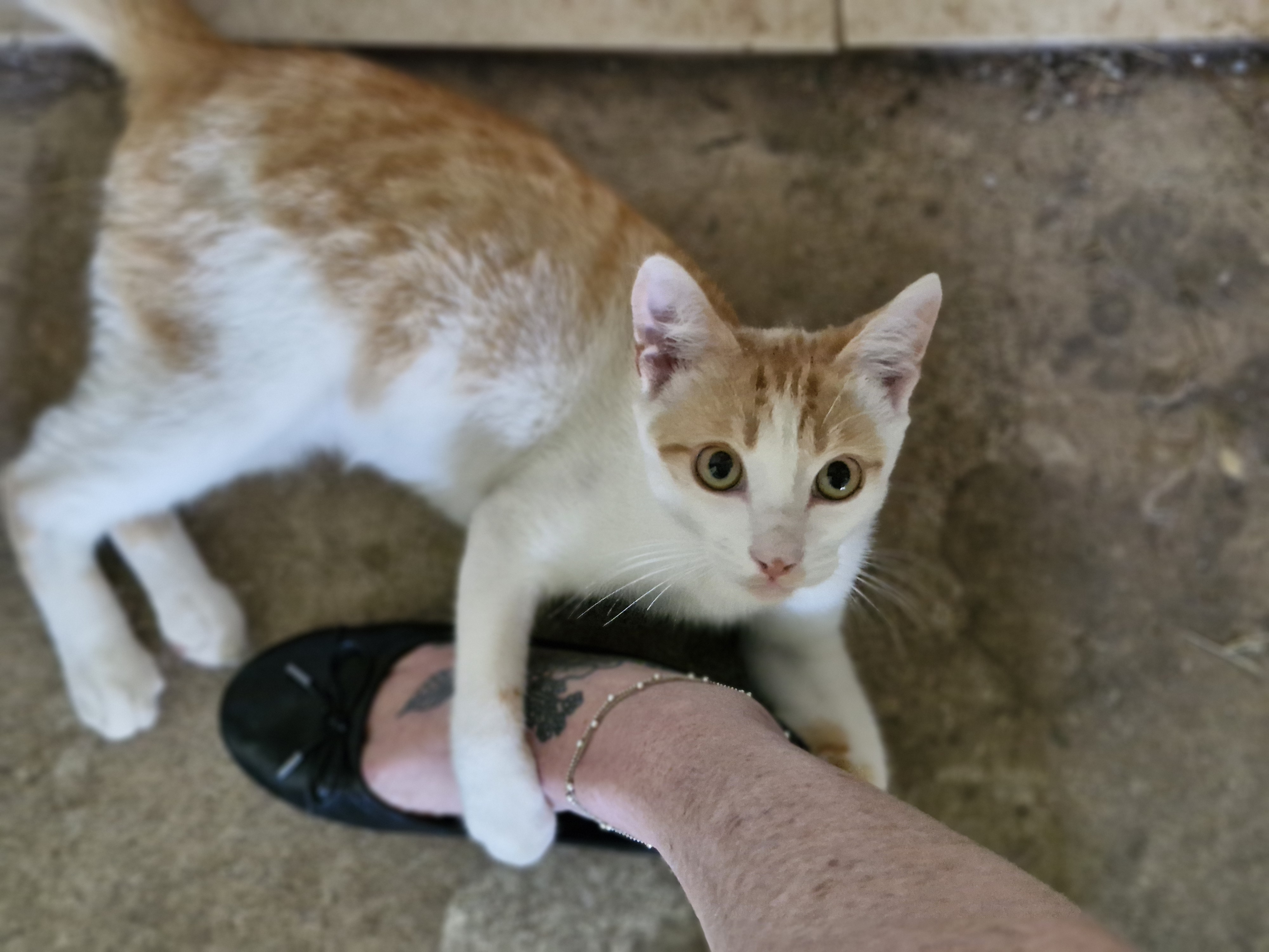 image-5