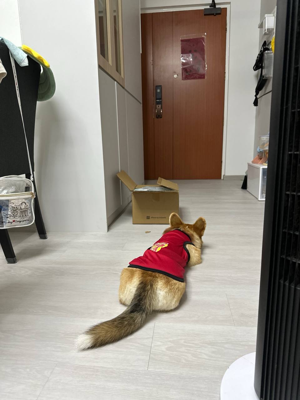 image-17
