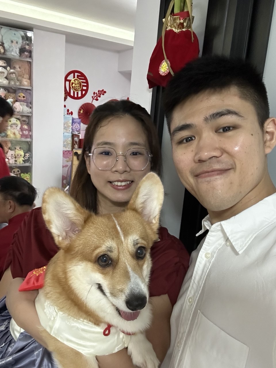 image-12