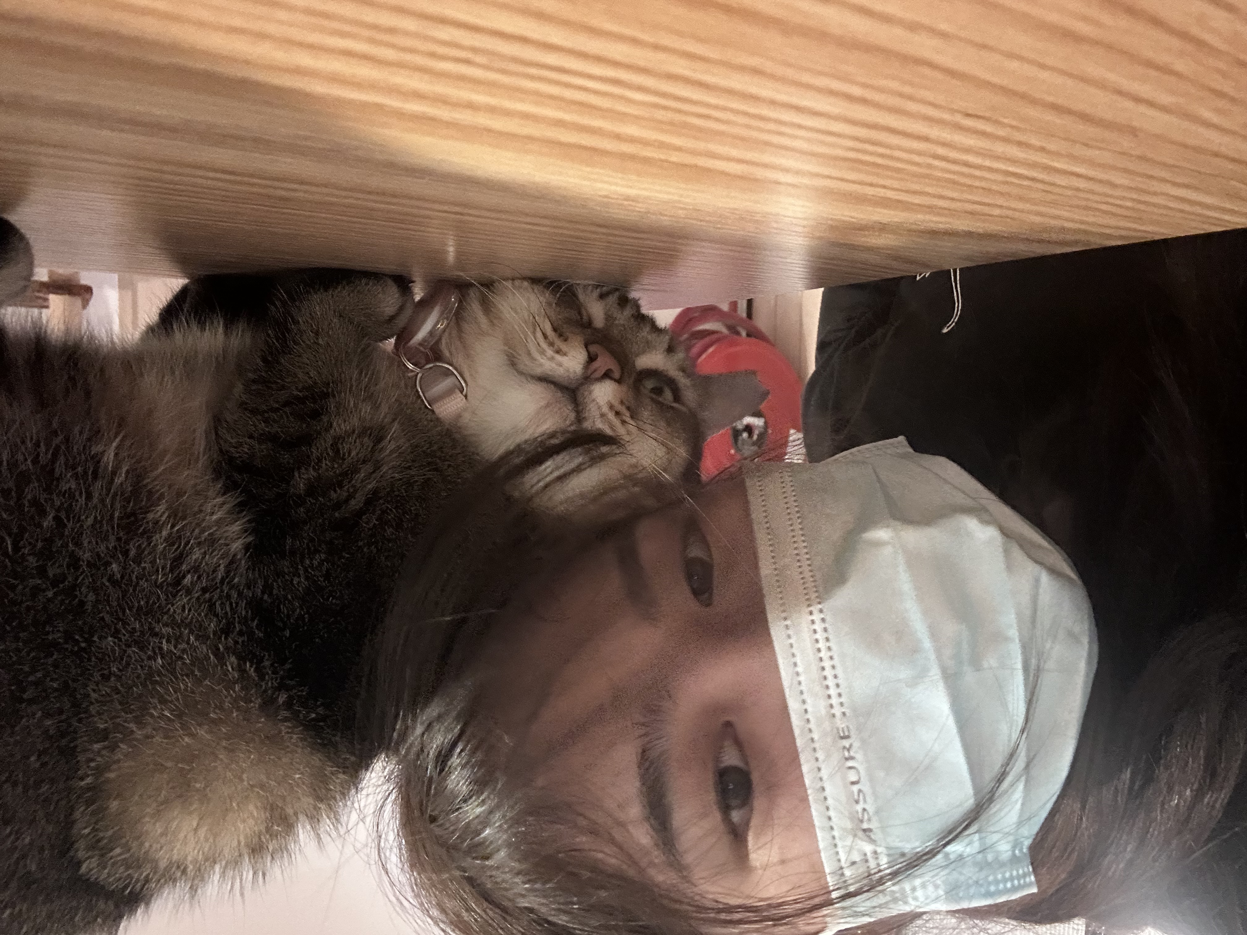 image-4