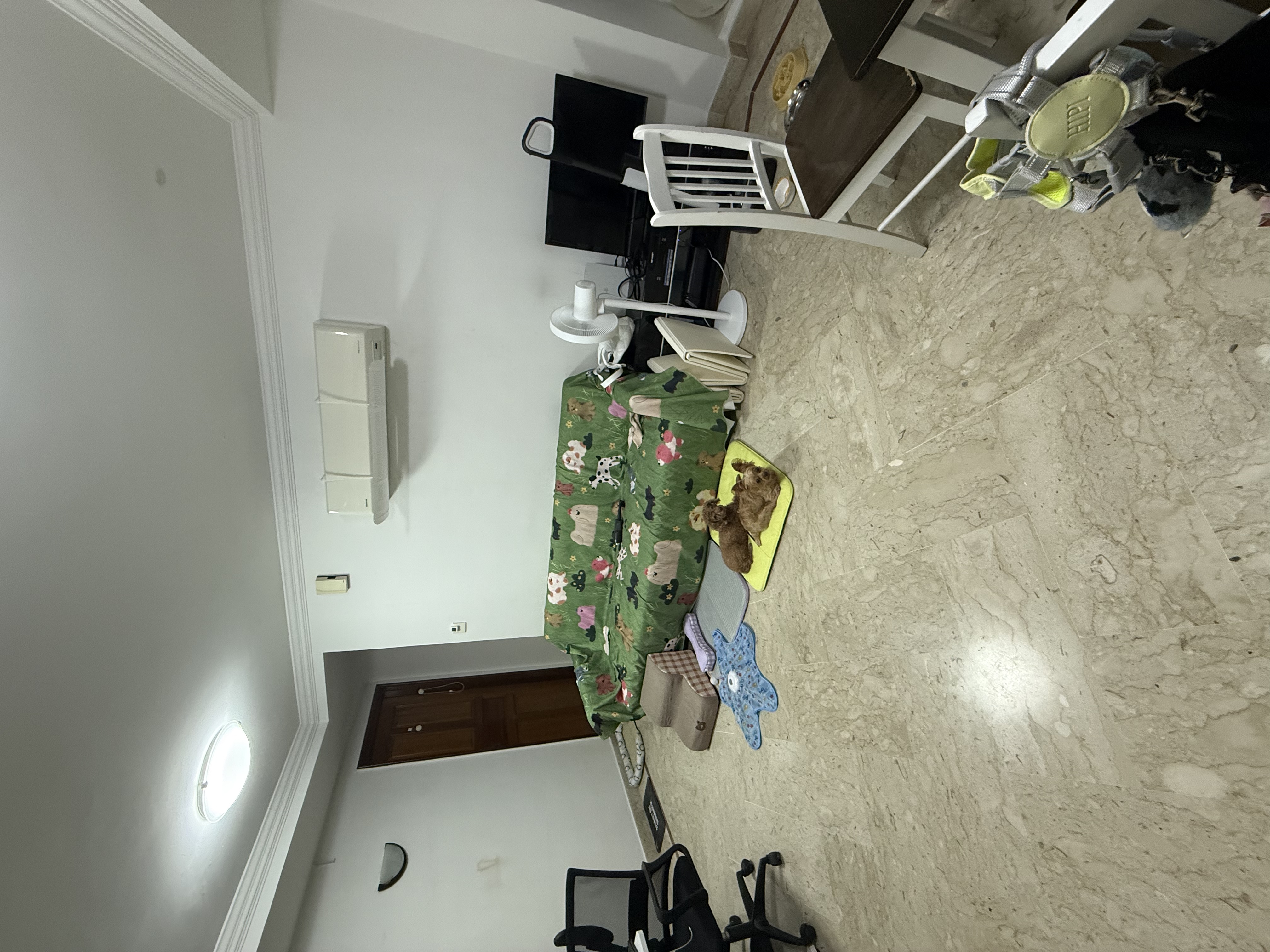 image-17