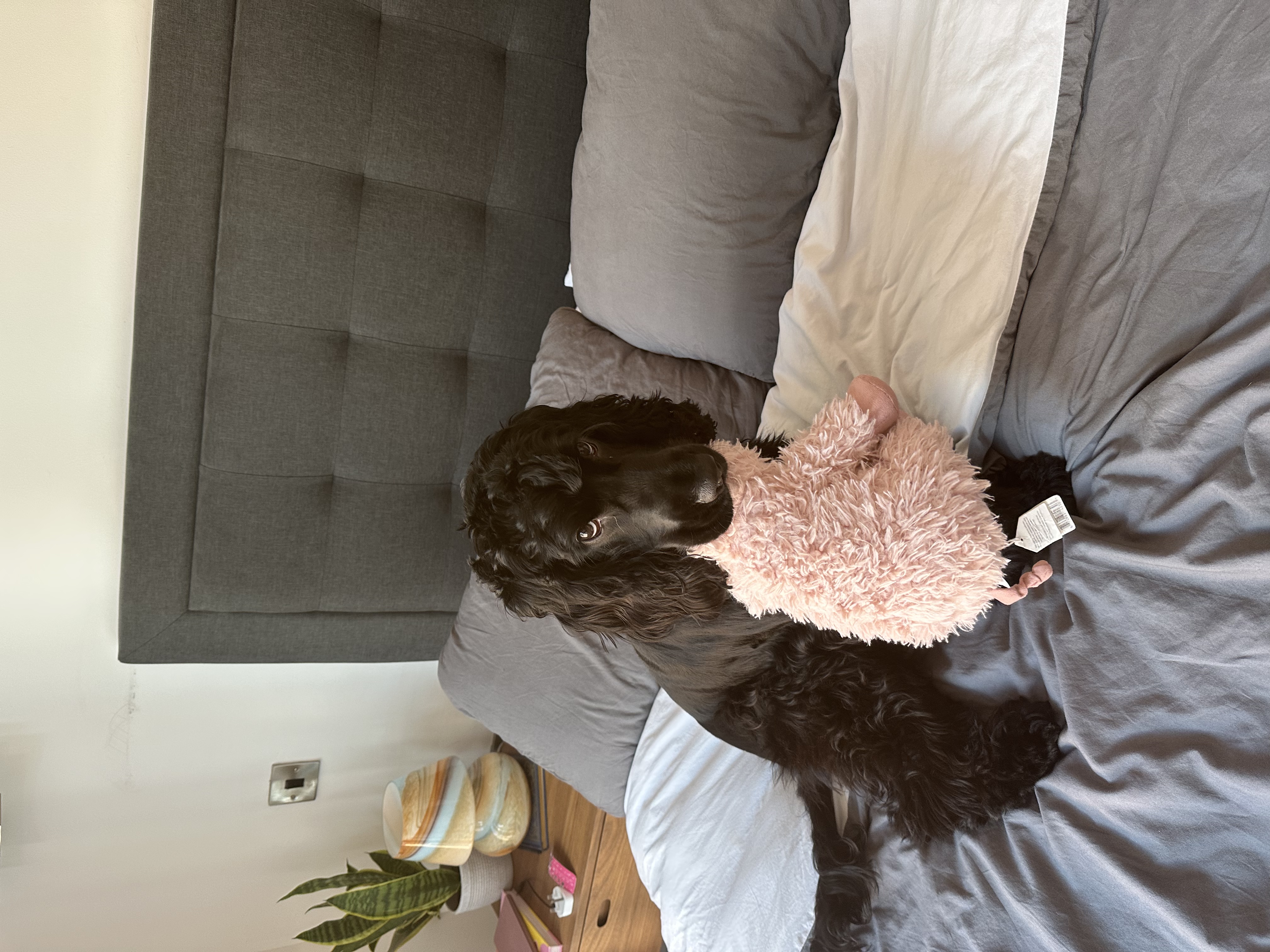 image-8