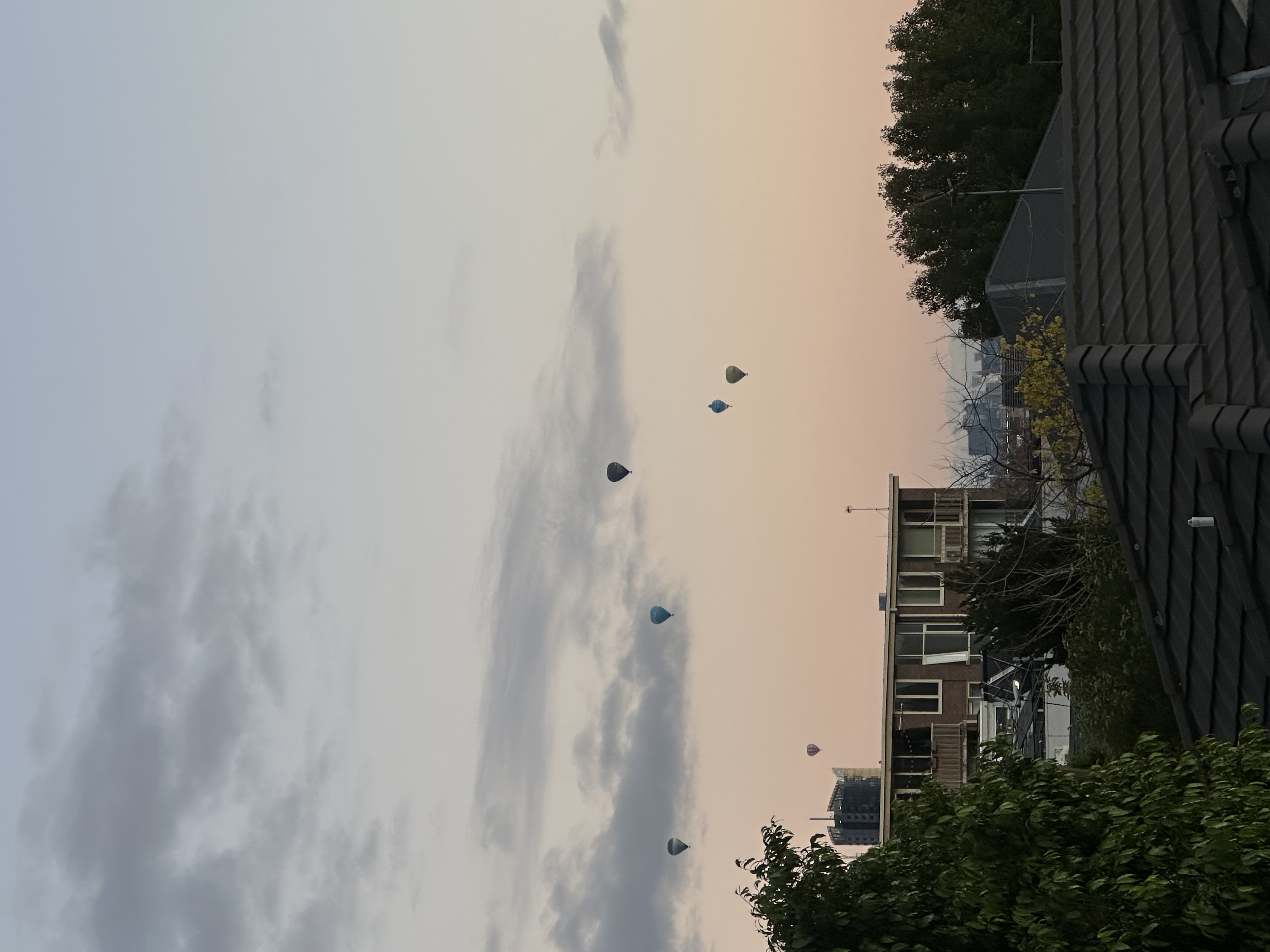 image-19