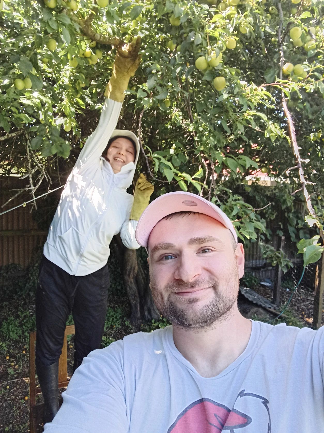 image-12