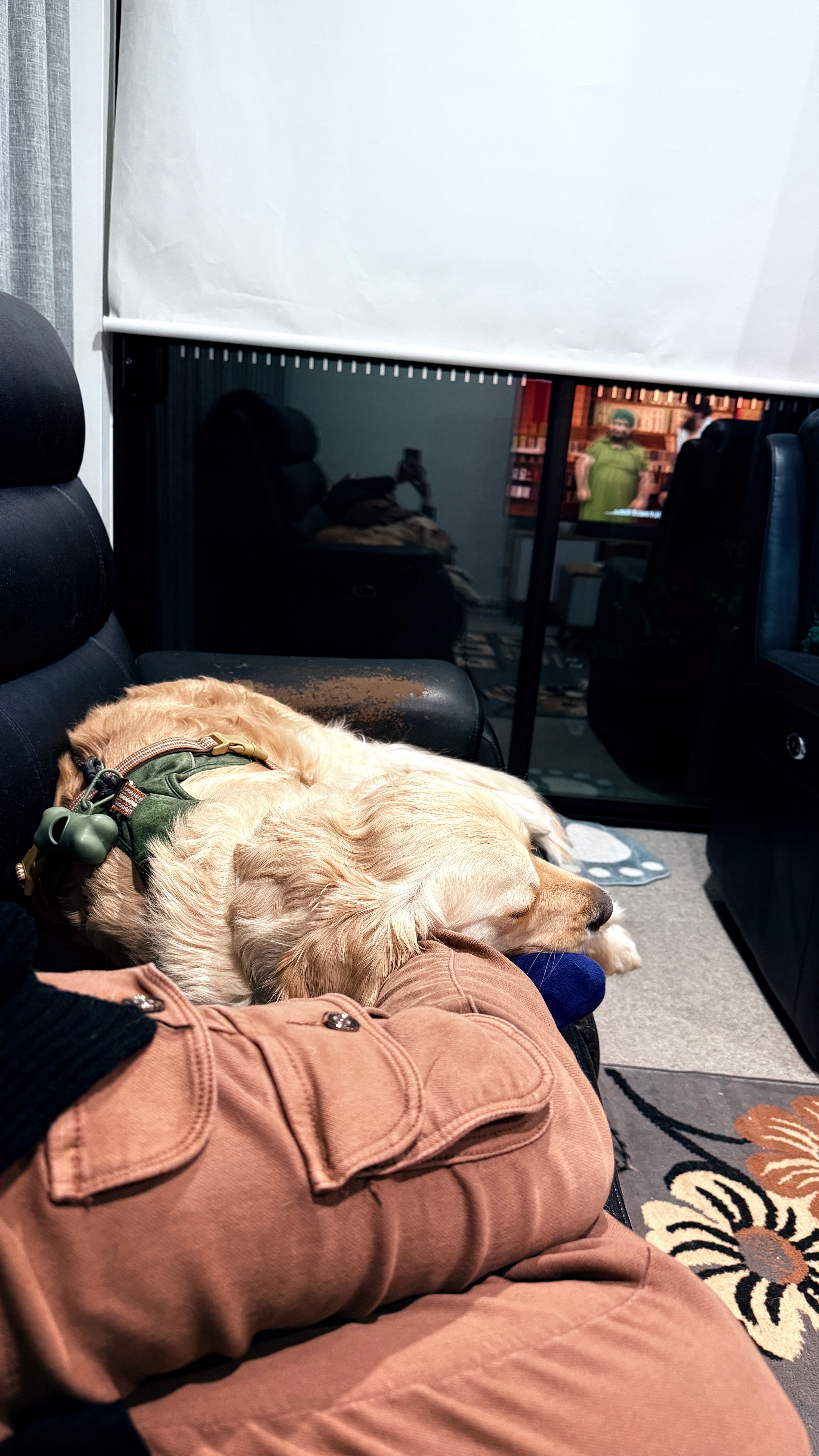 image-71