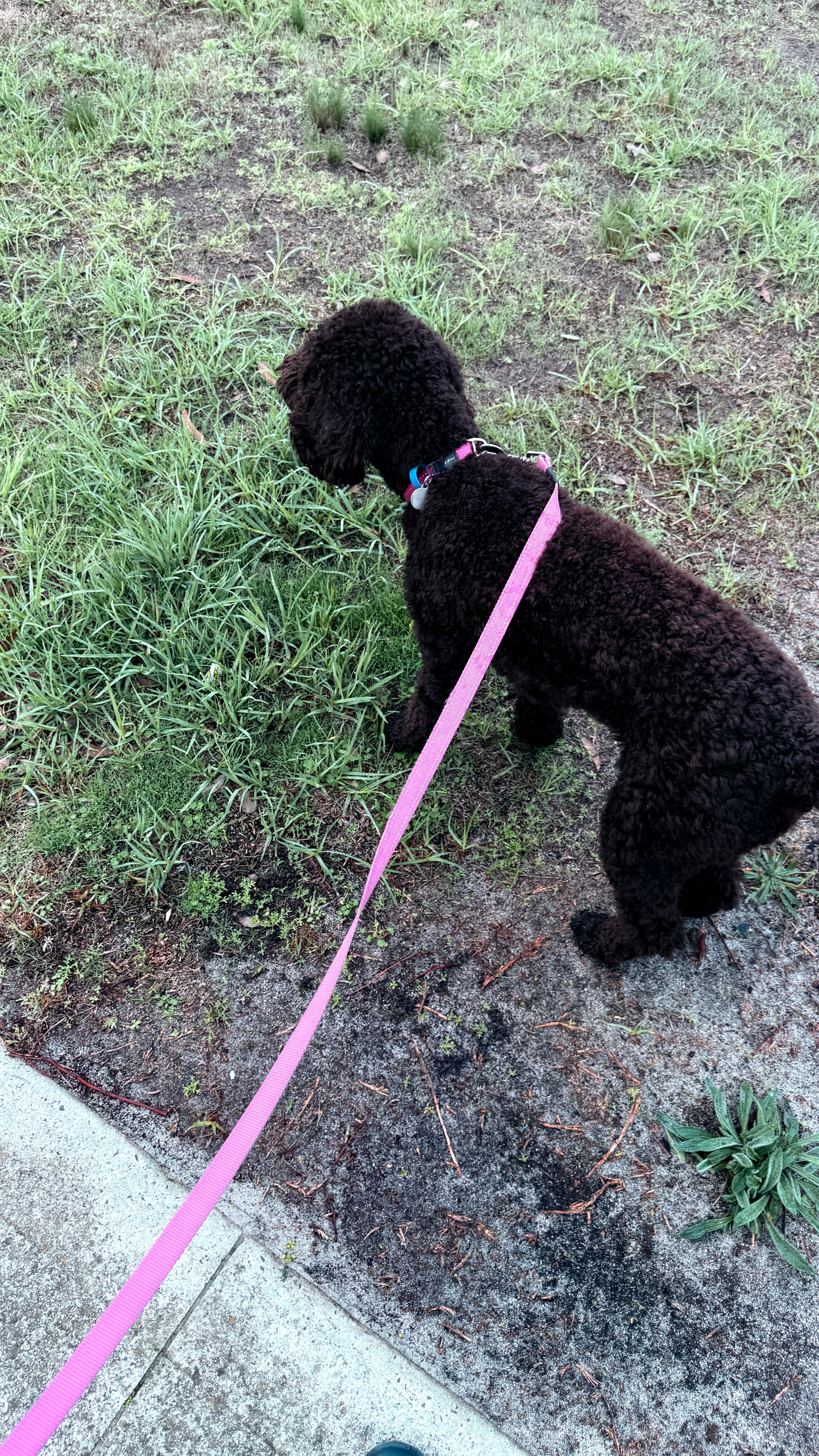 image-48