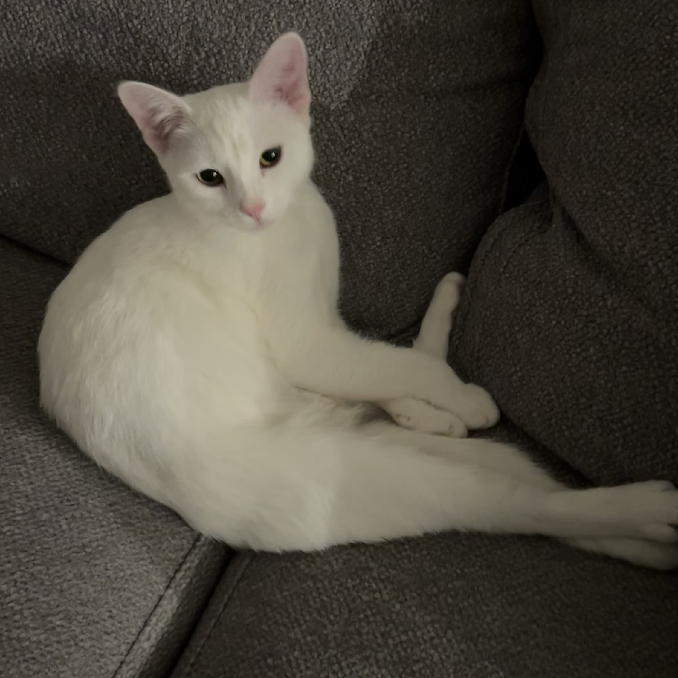 Whisper 