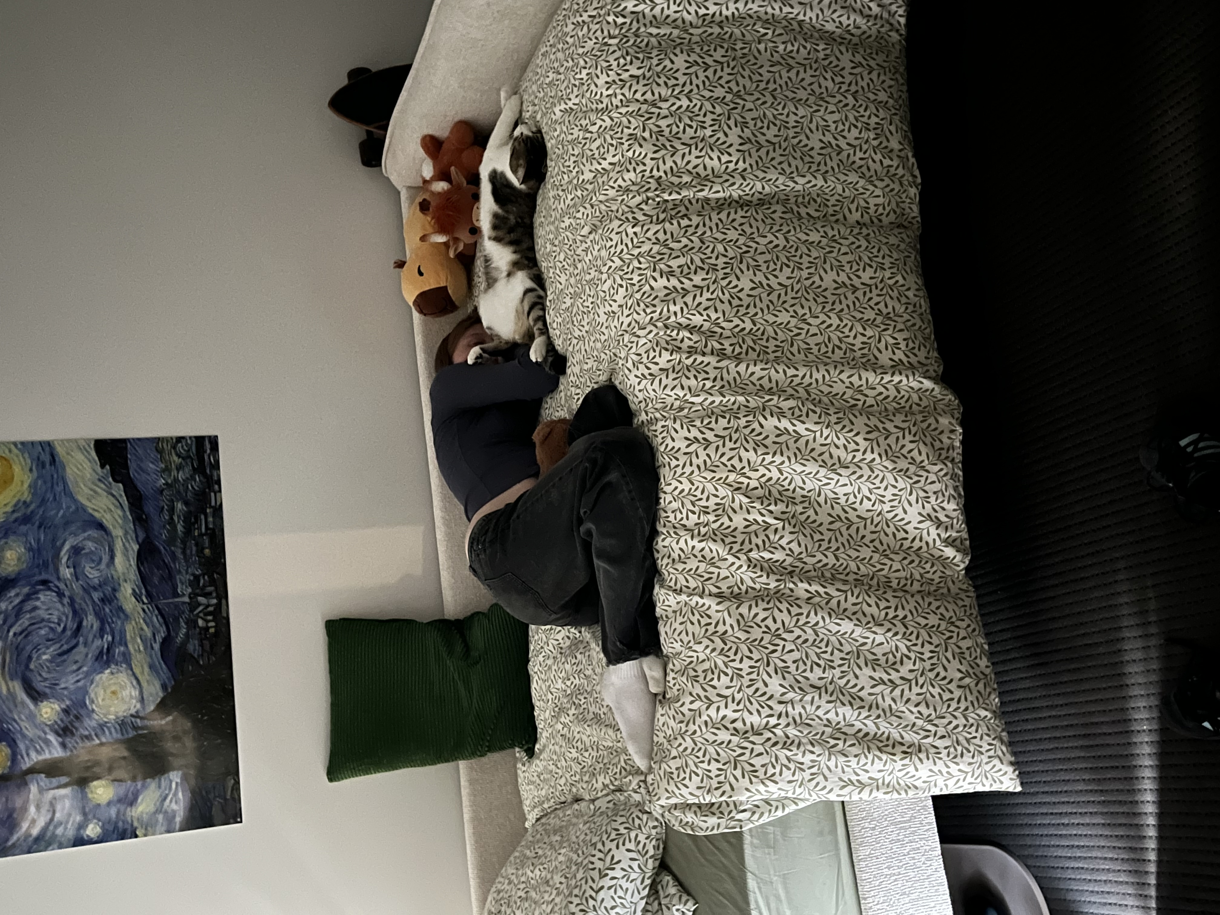 image-0